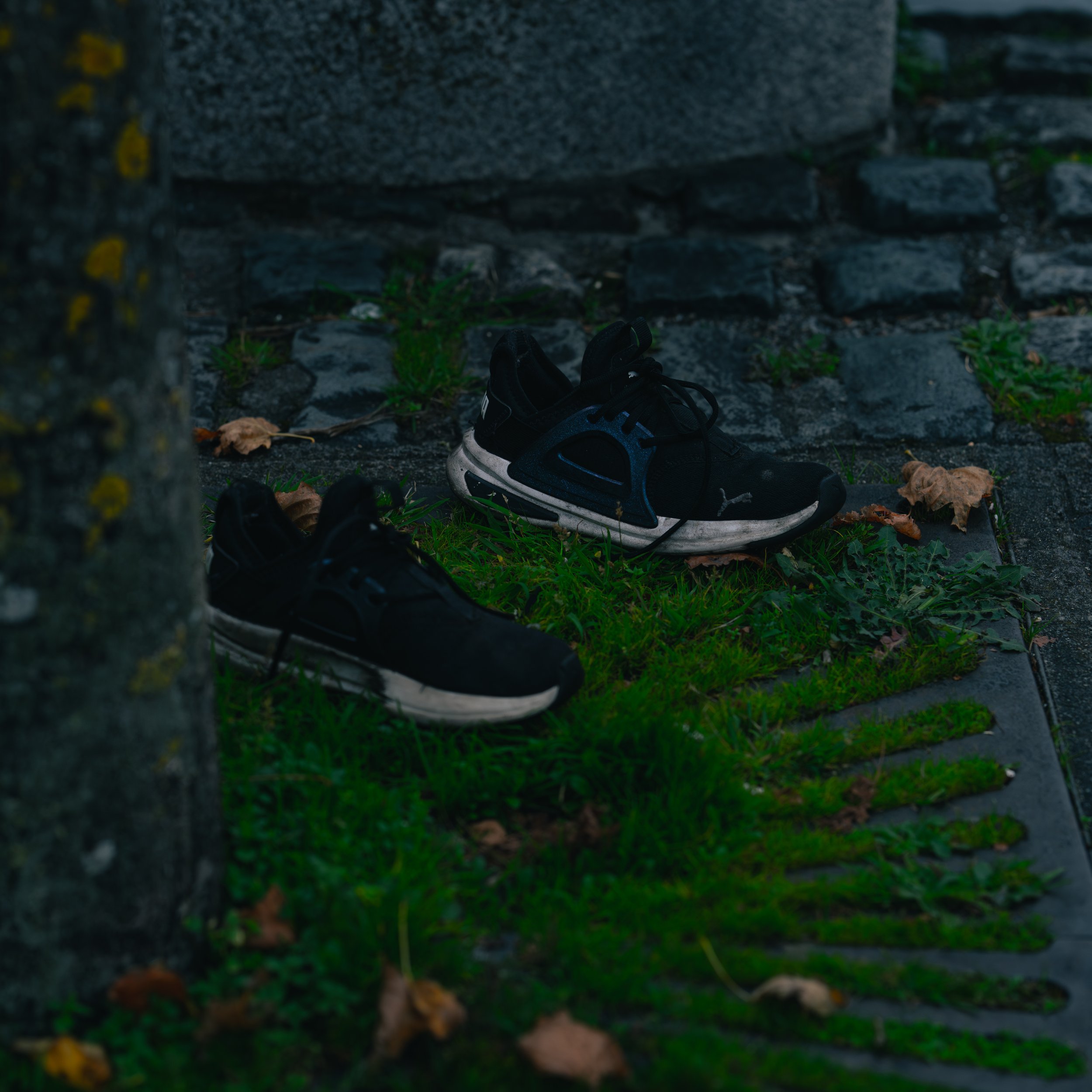Two black athletic shoes placed on a small patch of grass near a cobblestone sidewalk and a stone wall, with dried leaves scattered around.