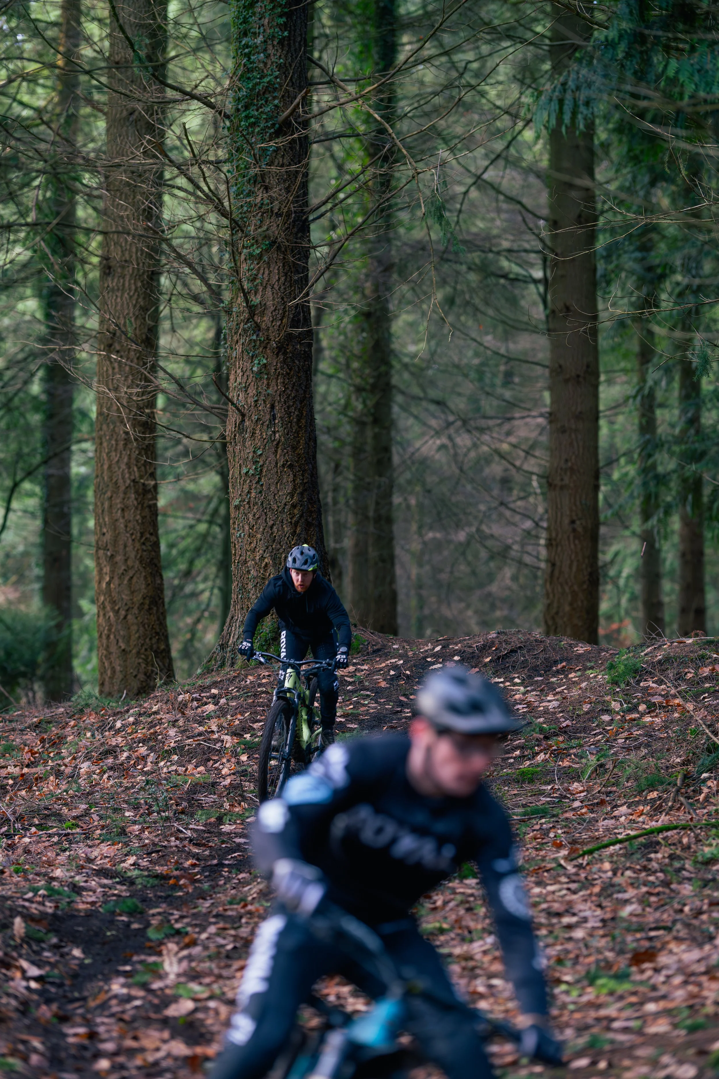 Two mountain bikers riding on a dirt trail through a dense forest.