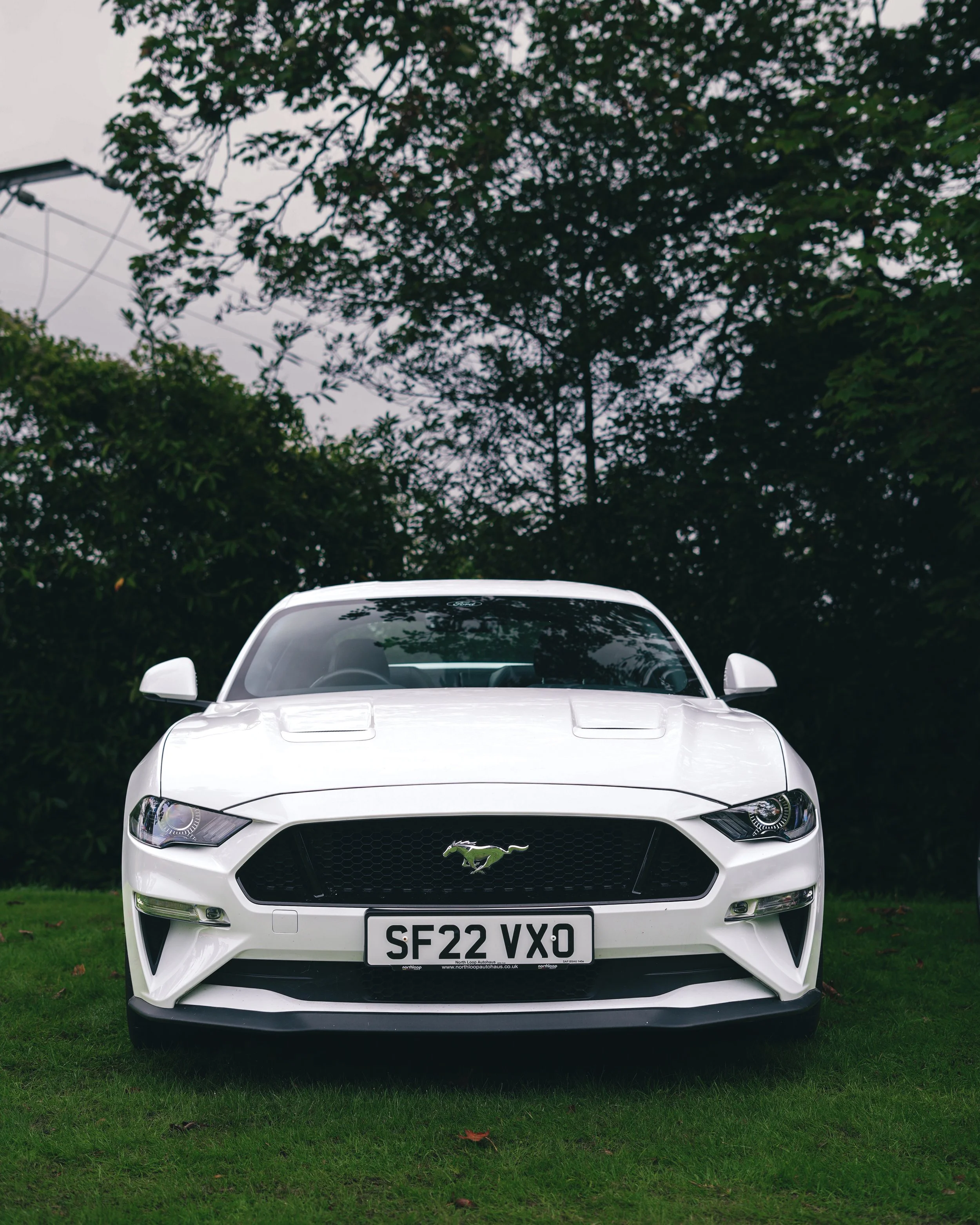 Front view of a white Ford Mustang parked on grass in a wooded area.