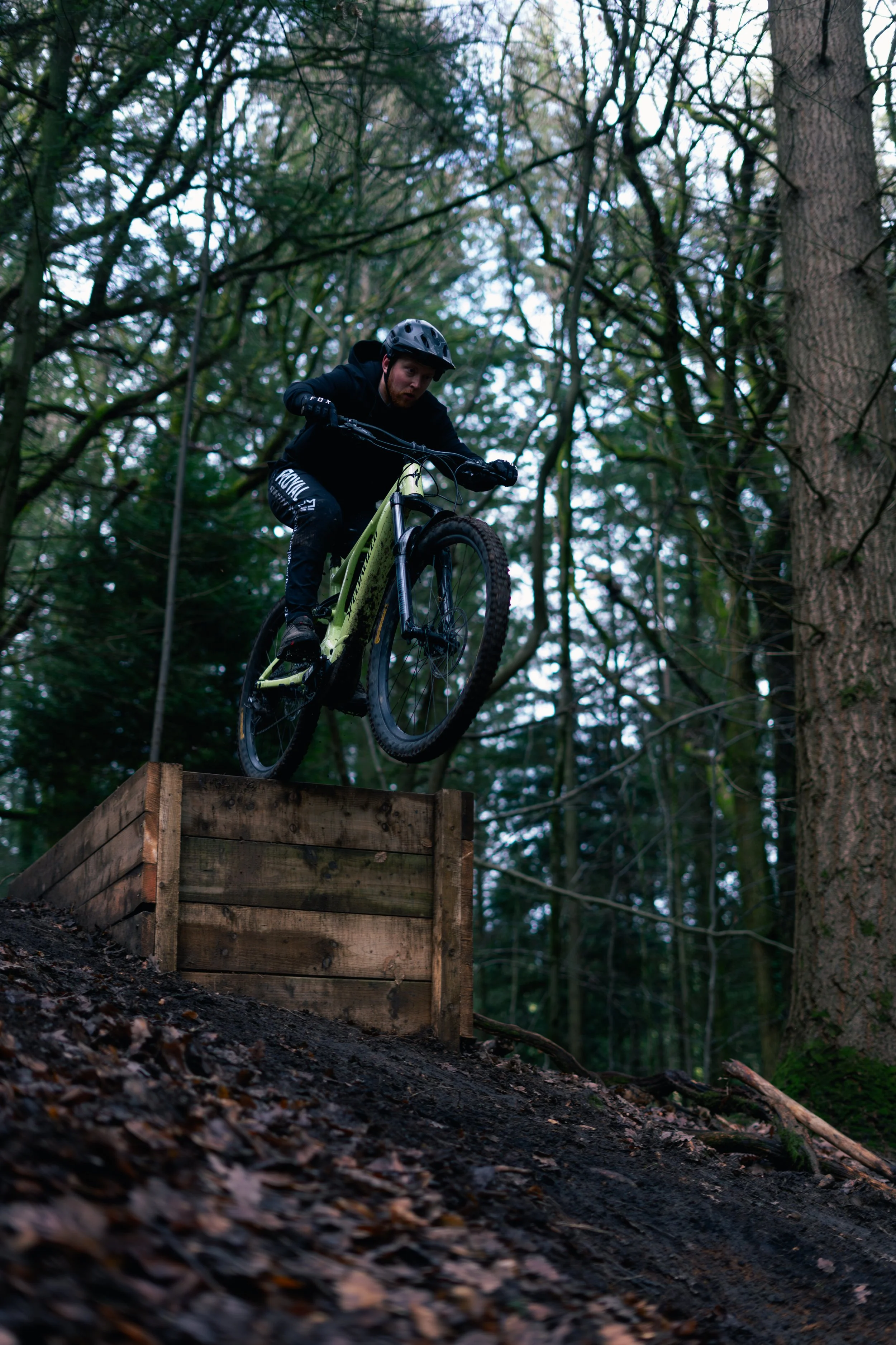A person wearing a black helmet and black clothing riding a yellow mountain bike off a wooden jump in a forested area with tall trees.