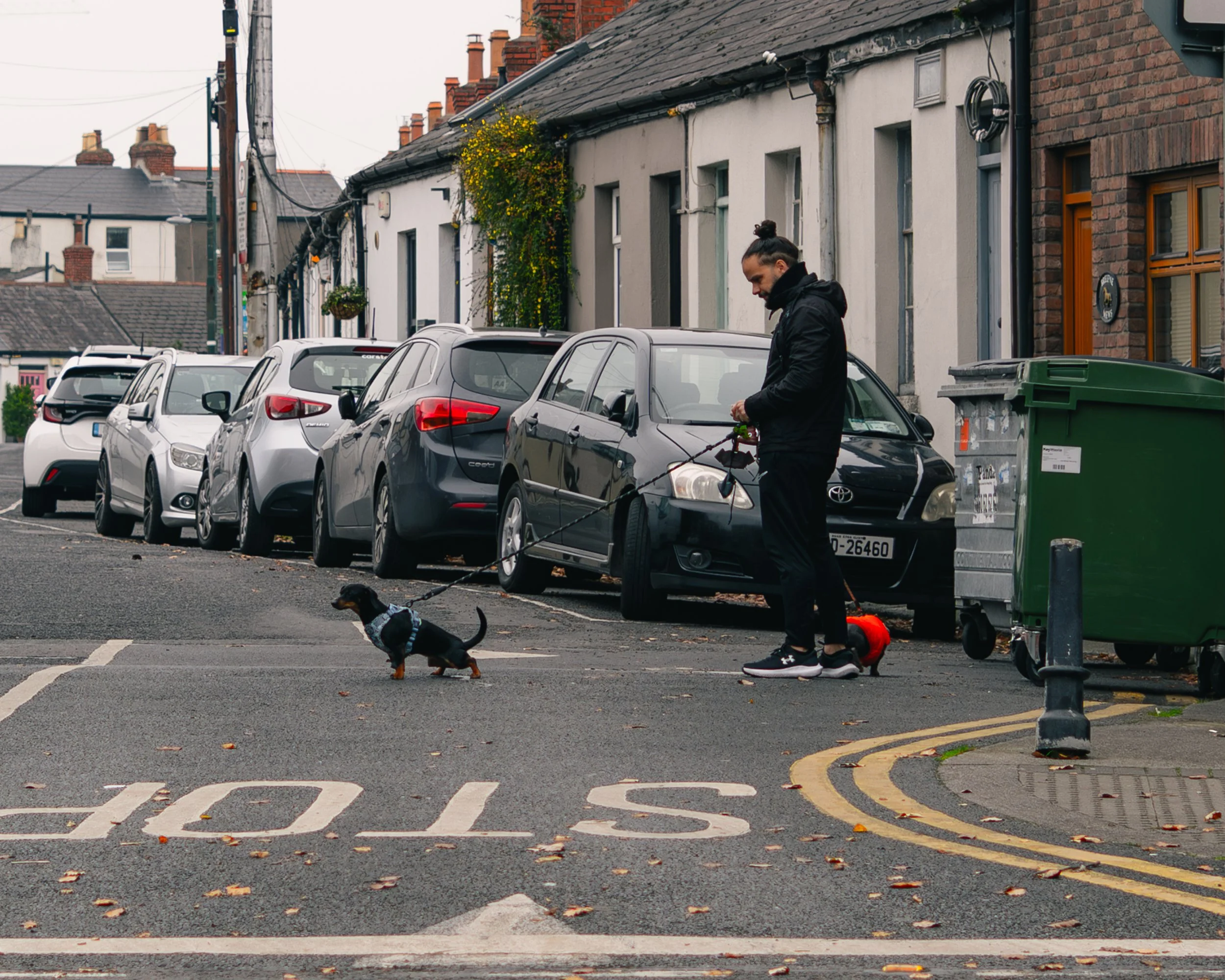 A man walking a small black dog on a leash in an urban street with parked cars, brick houses, and a green trash bin nearby.