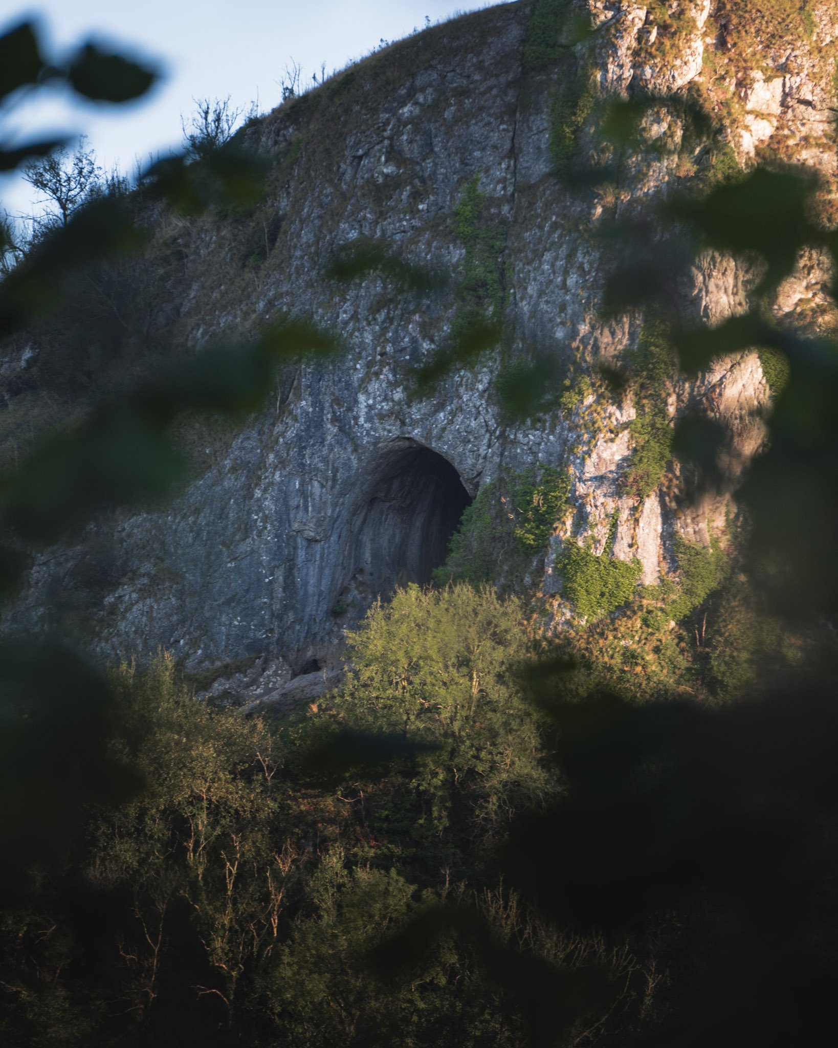 Thor's Cave, surrounded by trees with some branches and leaves blurred in the foreground.