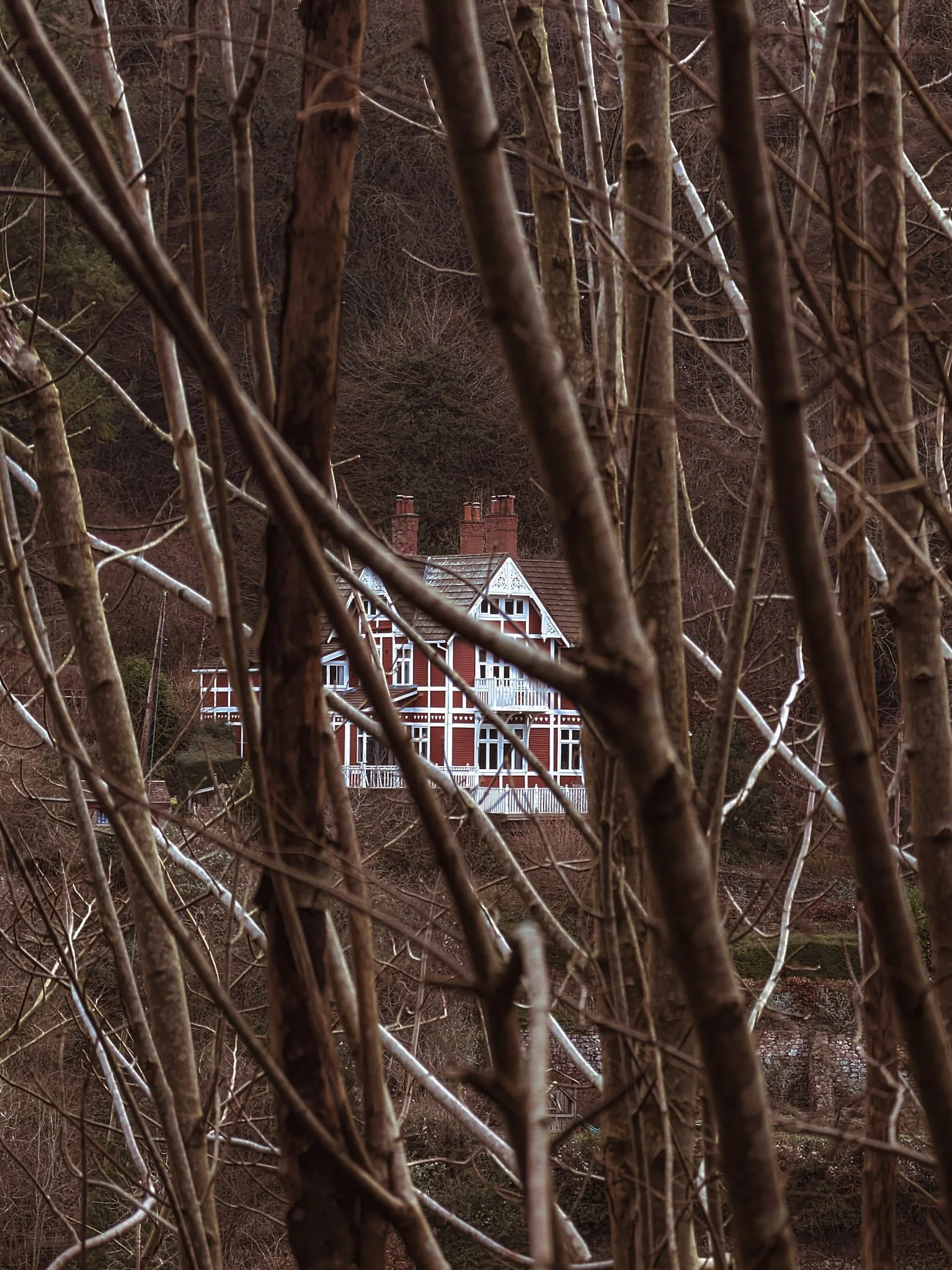 The sex education house, visible through a frame of leafless tree branches and twigs. The house has multiple chimneys and a decorative gable, situated on a hillside surrounded by trees.