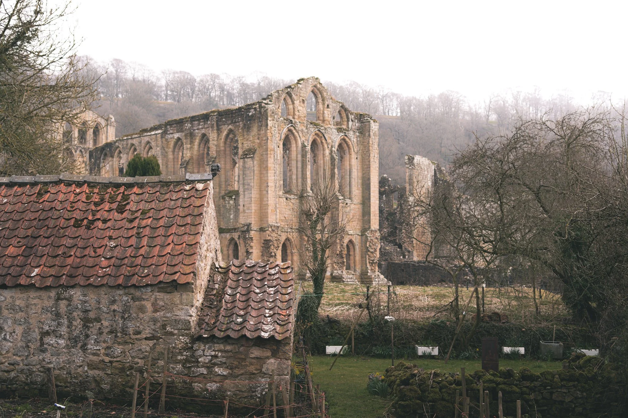 A historic stone church ruin with large arched windows, surrounded by leafless trees and an overgrown garden in the foreground.