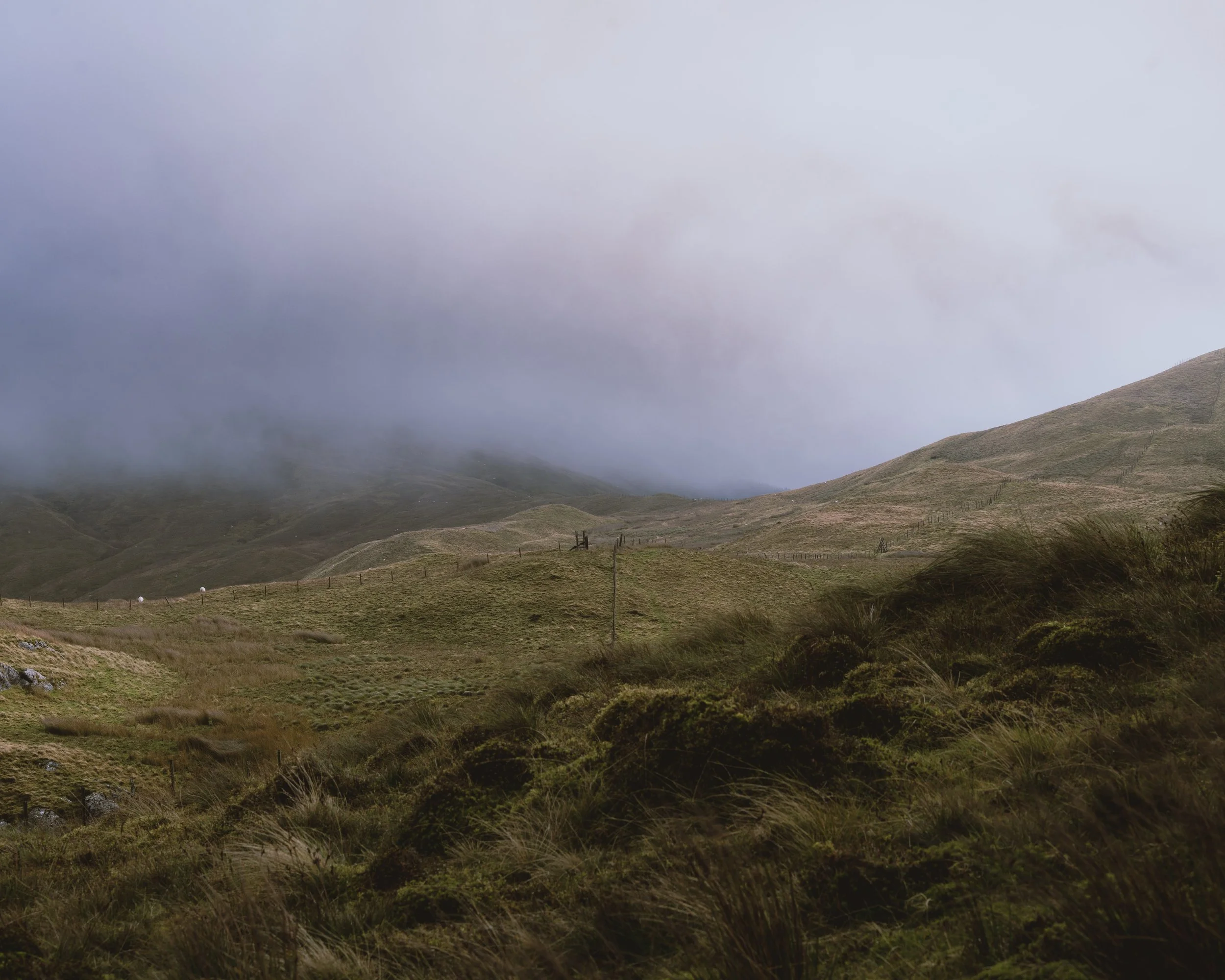 Hilly green landscape with grass and shrubs, fog over distant hills, cloudy sky.