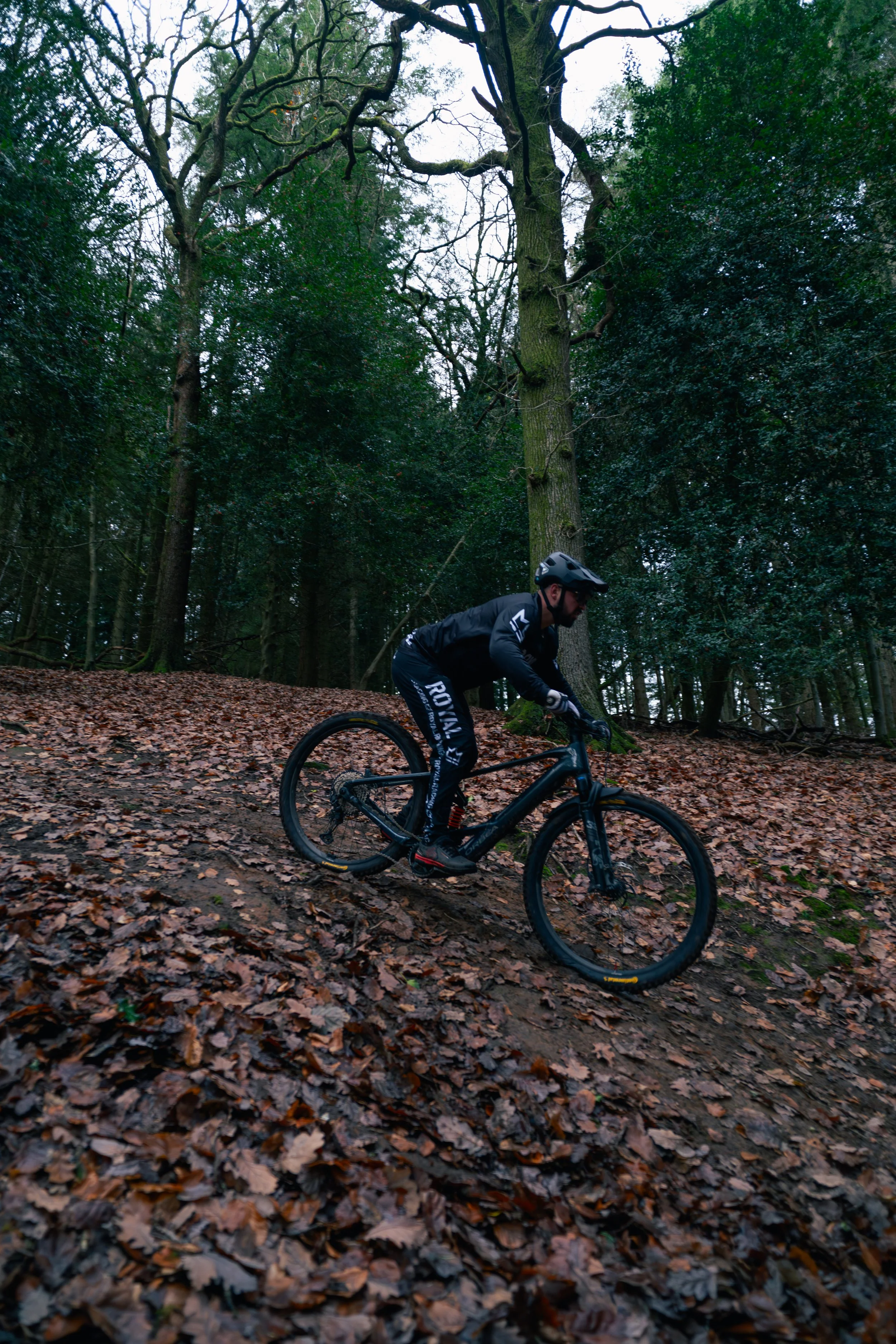 A mountain biker in black gear riding downhill through a forest with fallen leaves and tall trees.