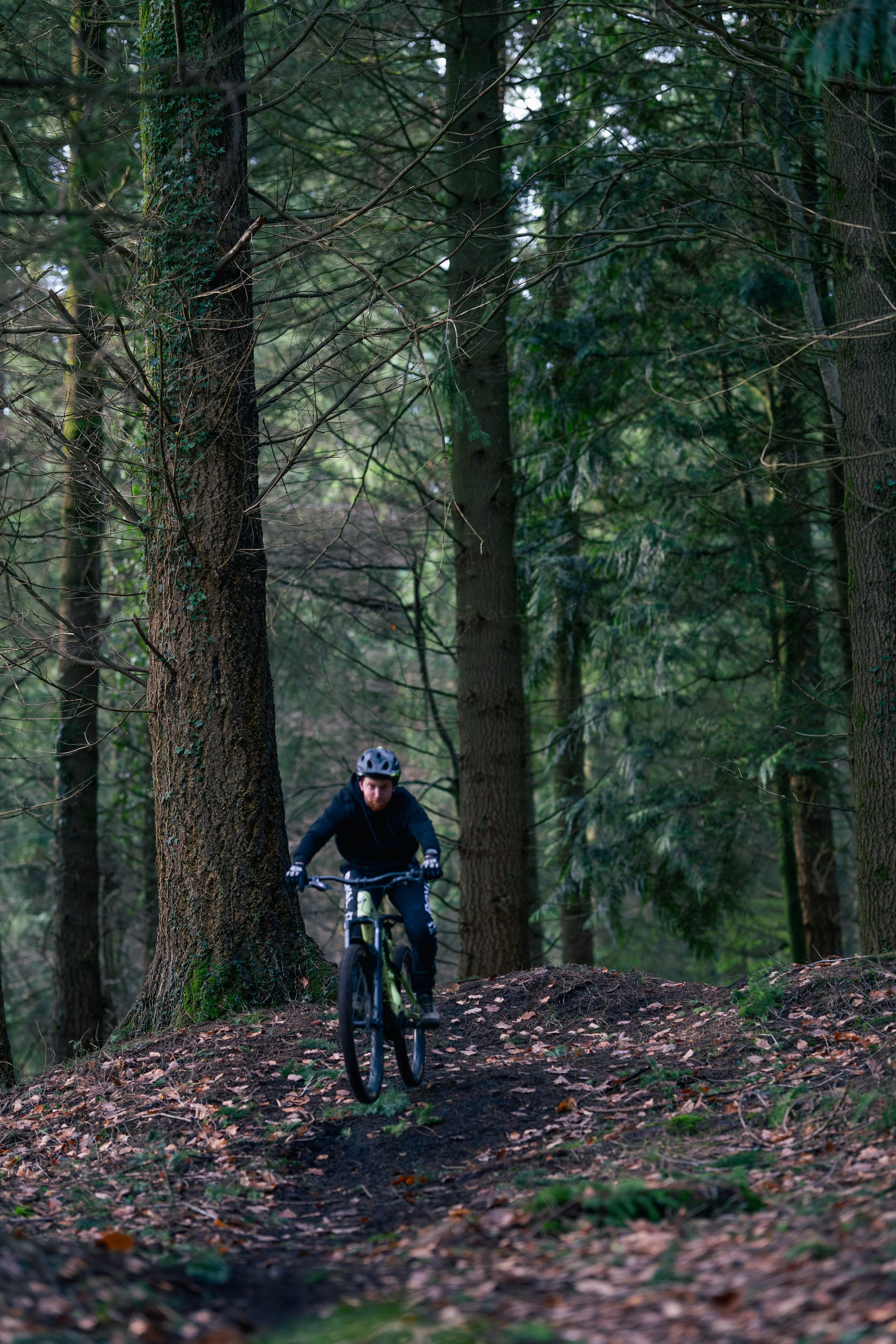 A person mountain biking on a dirt trail in a dense forest with tall trees and green foliage.