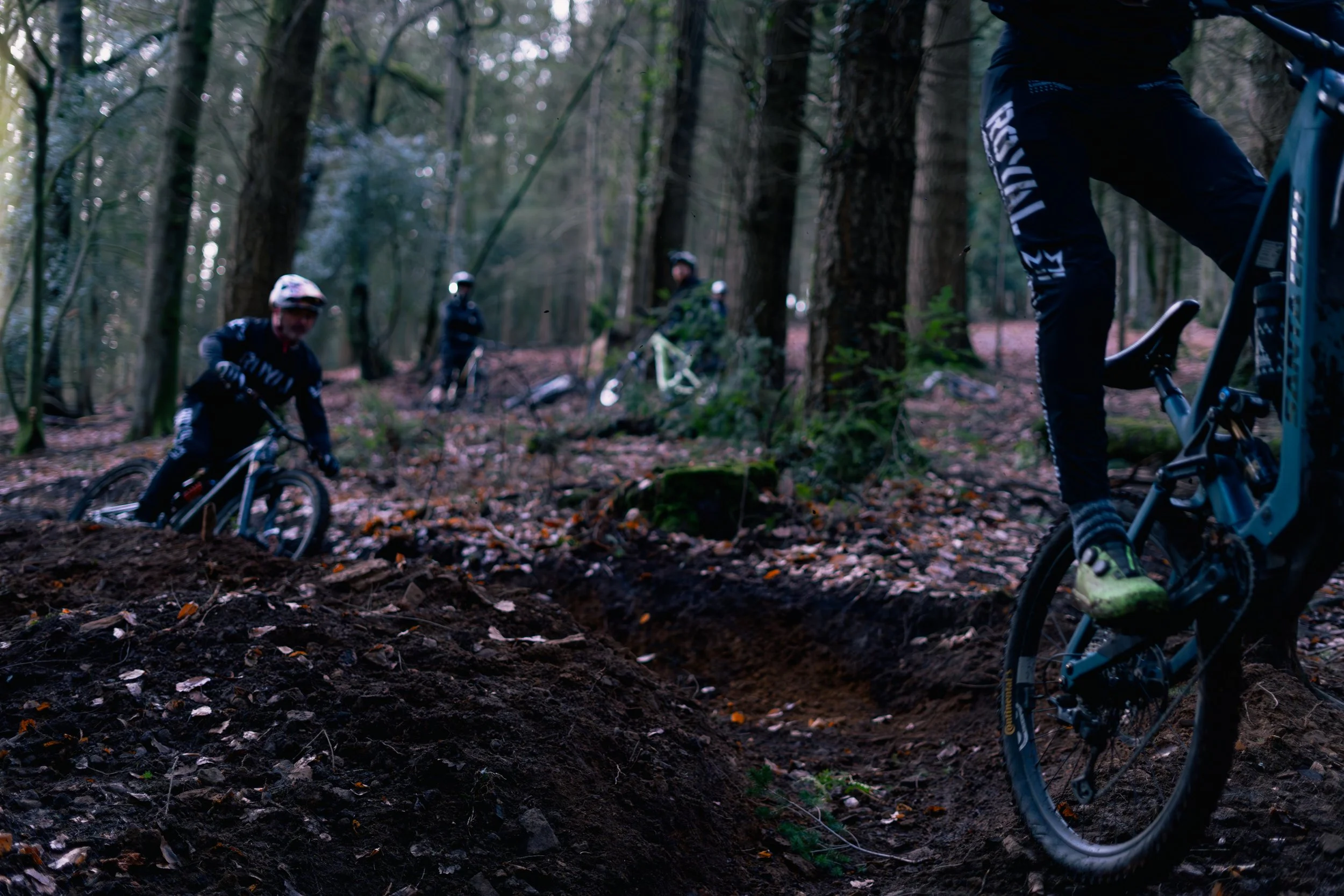 Mountain bikers riding through a forest trail surrounded by tall trees during daytime.