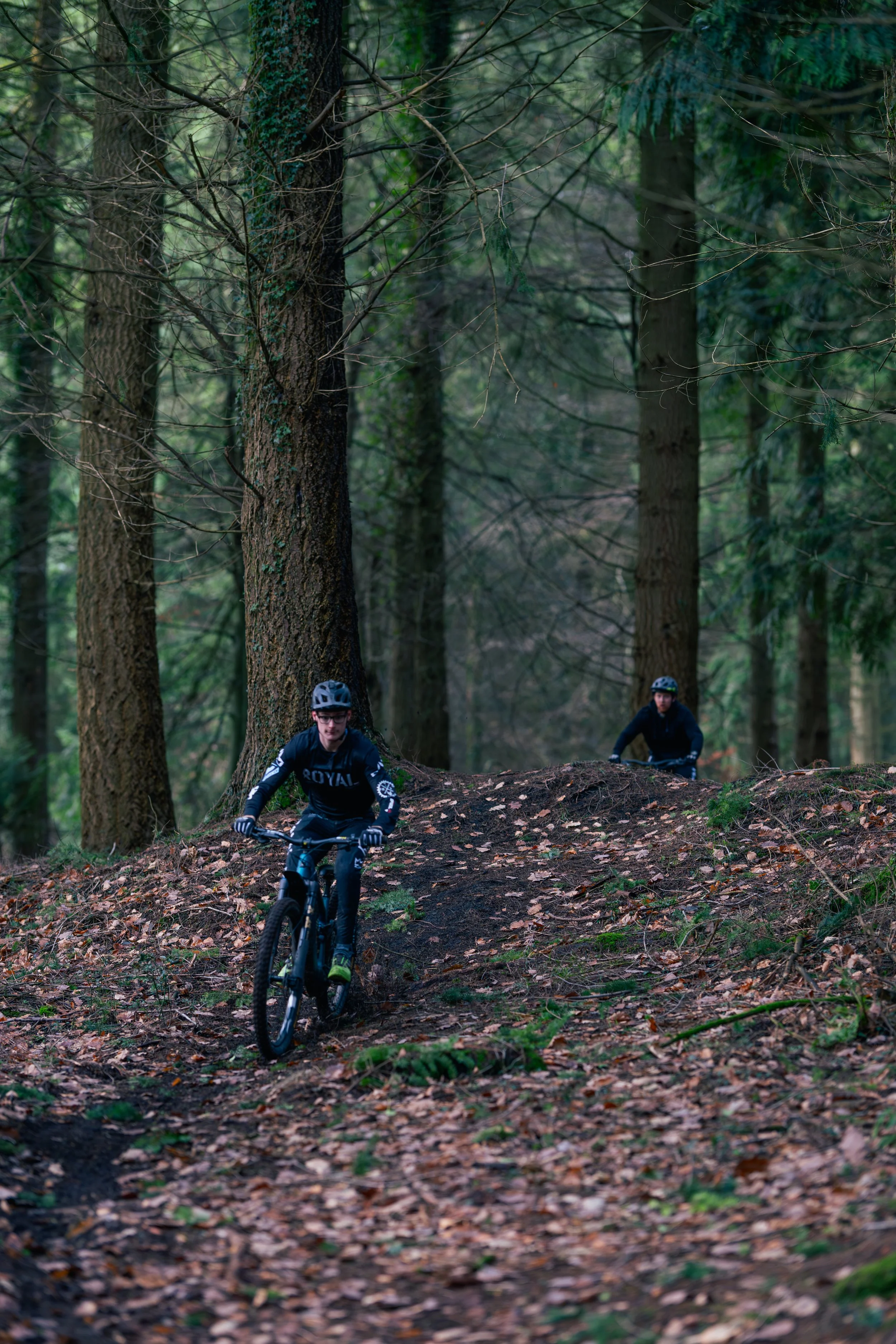 Two mountain bikers riding on a trail in a dense forest with tall trees and fallen leaves.