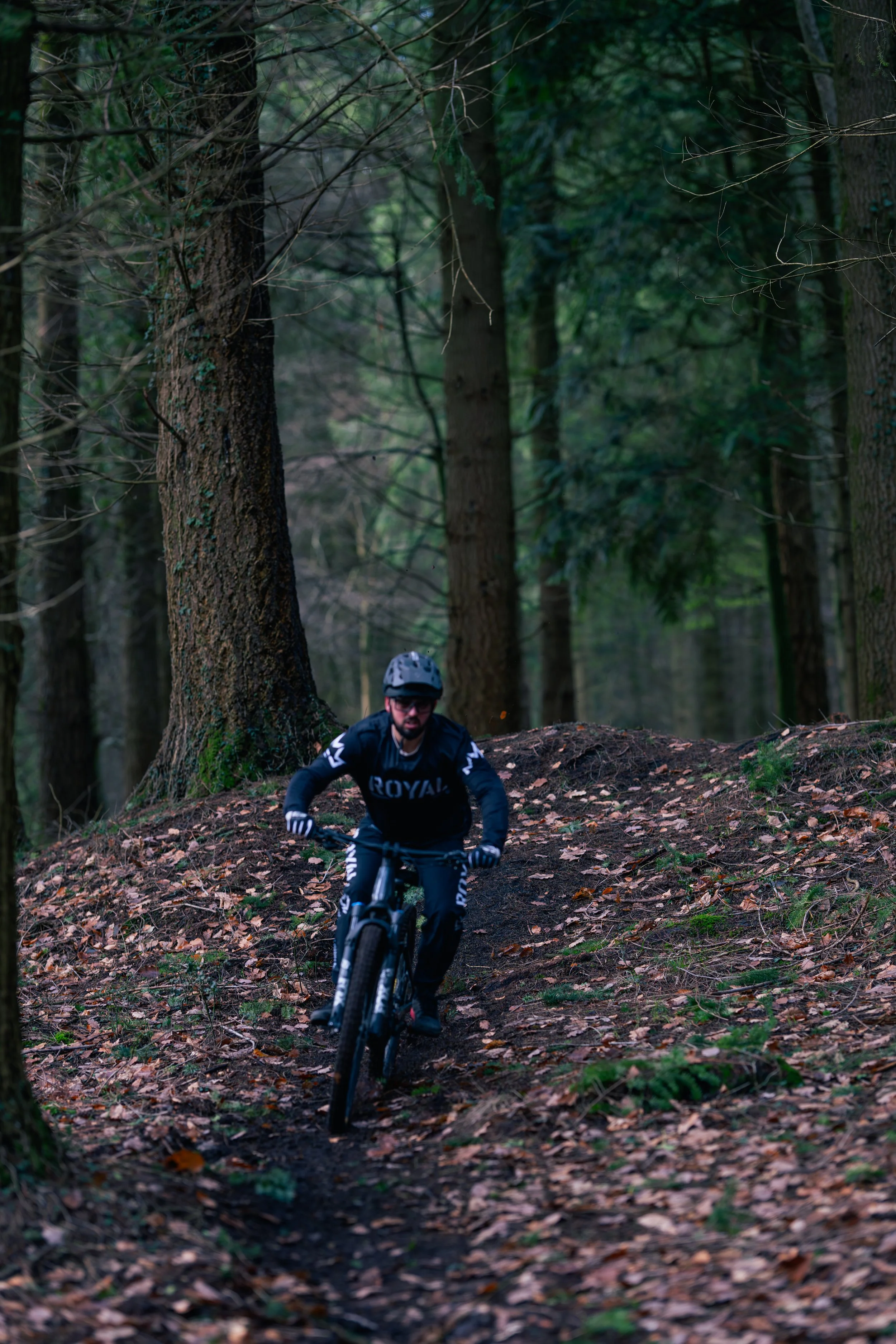 Man riding a mountain bike on a forest trail surrounded by tall trees and fallen leaves.