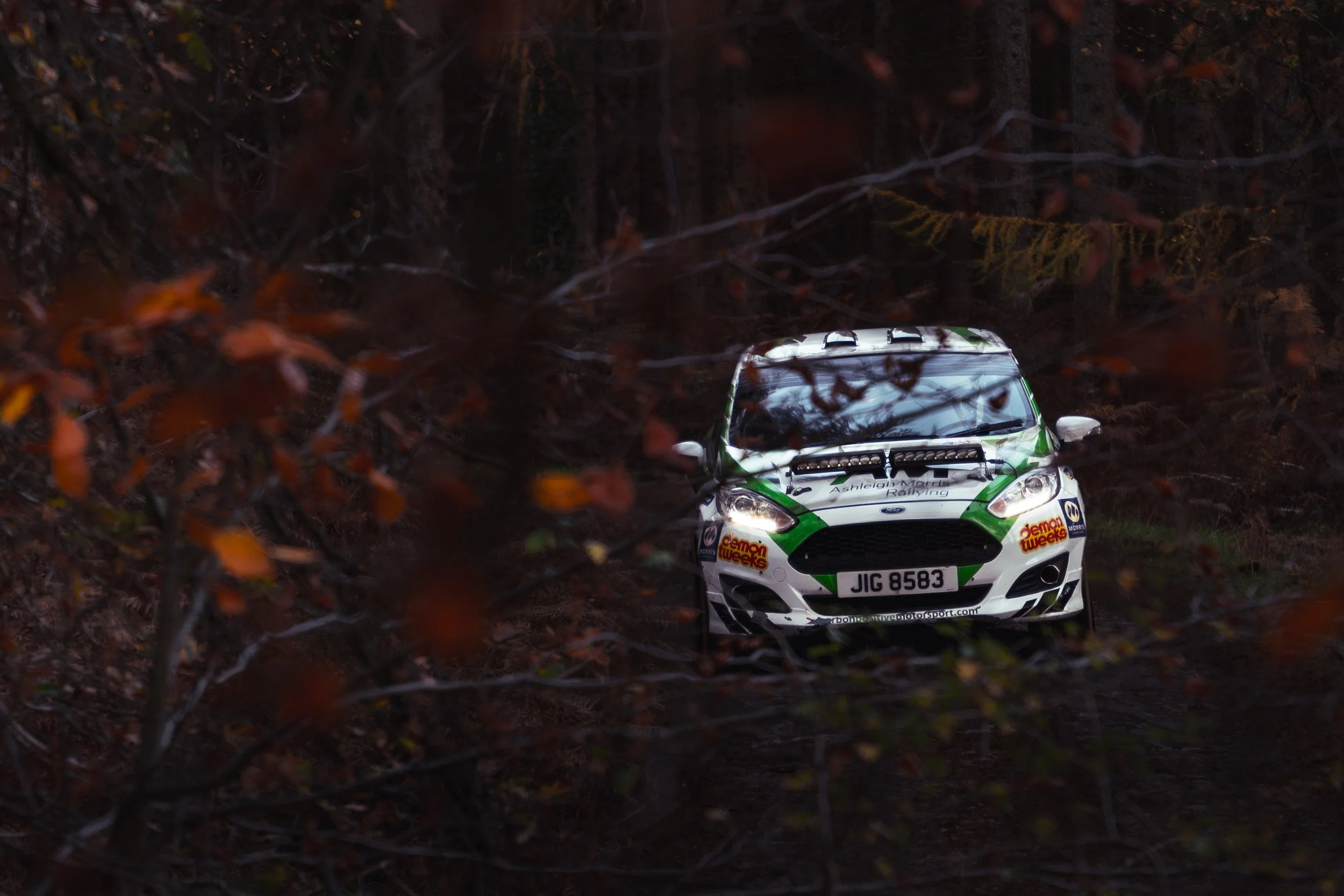 A rally car on a forest trail, partially obscured by tree branches with reddish-orange leaves, during a race. wye dean rally 