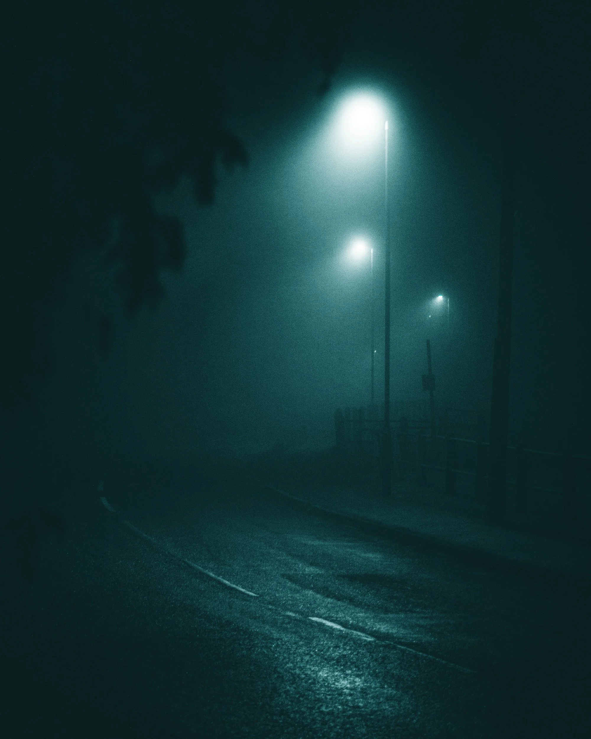 processed__DSC7562 (1).jpg