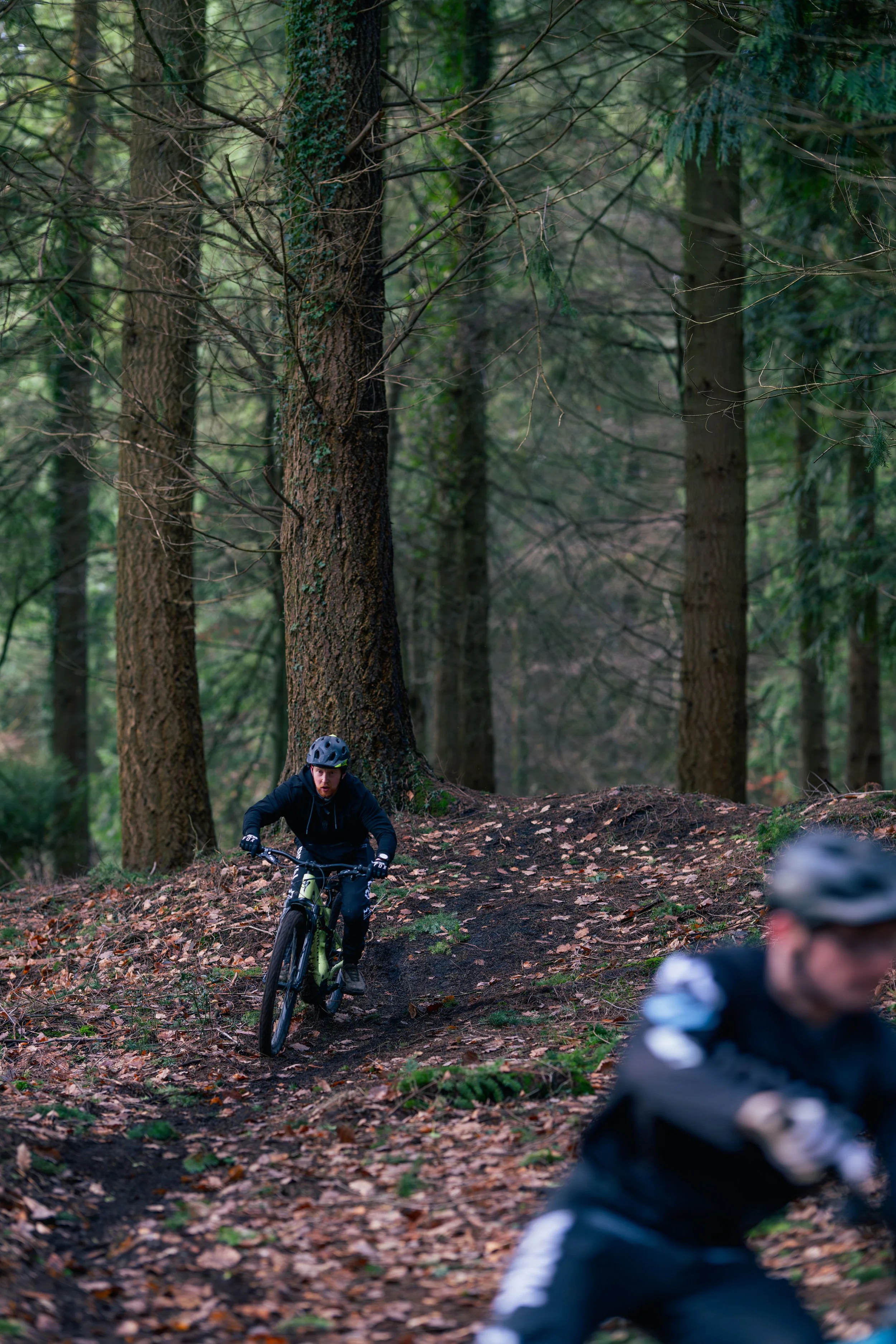 Two mountain bikers riding through a wooded forest trail, with one in focus and the other blurred in the foreground.