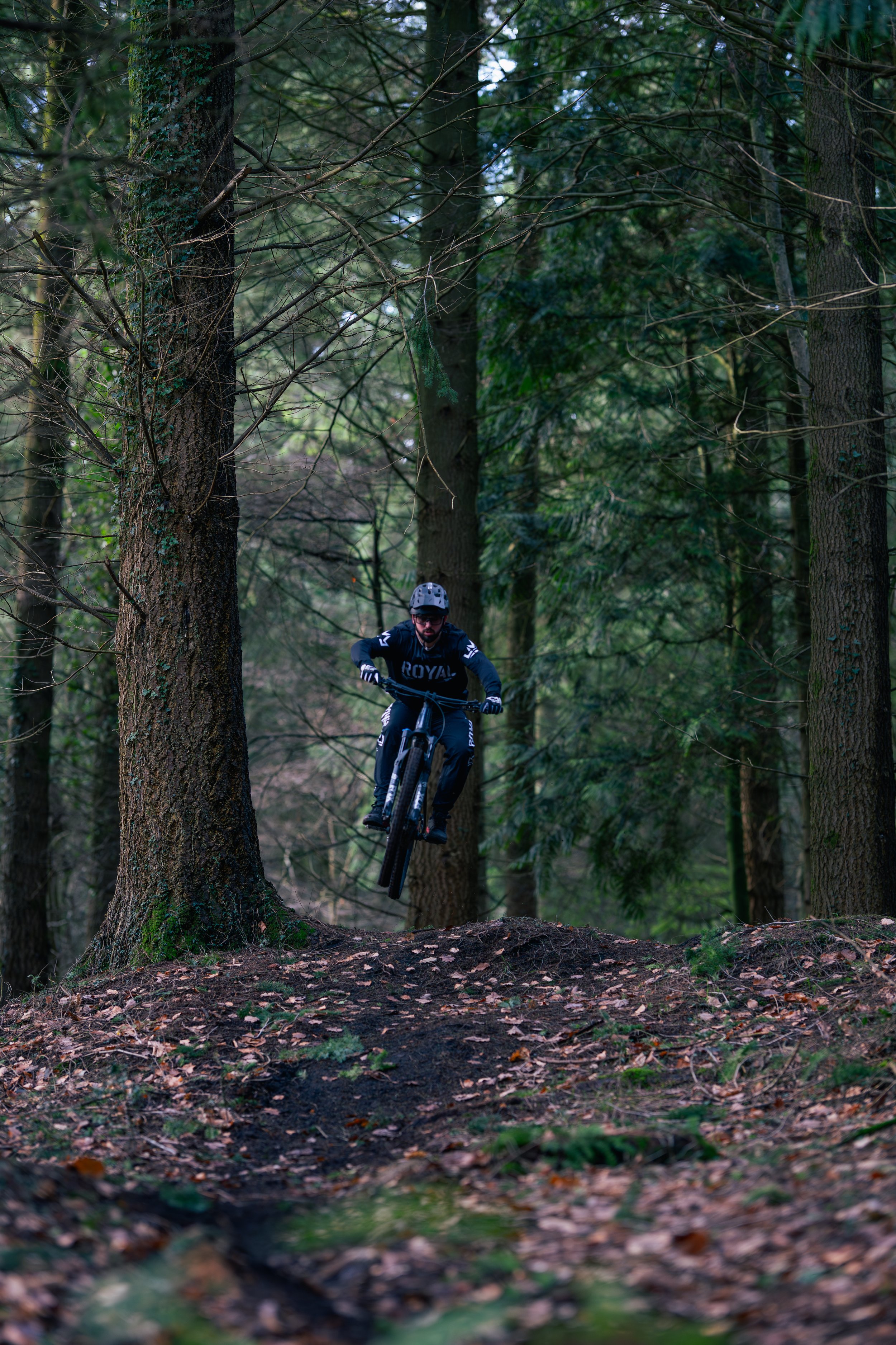 A mountain biker in black gear riding through a forest with tall trees and leaf-covered ground.