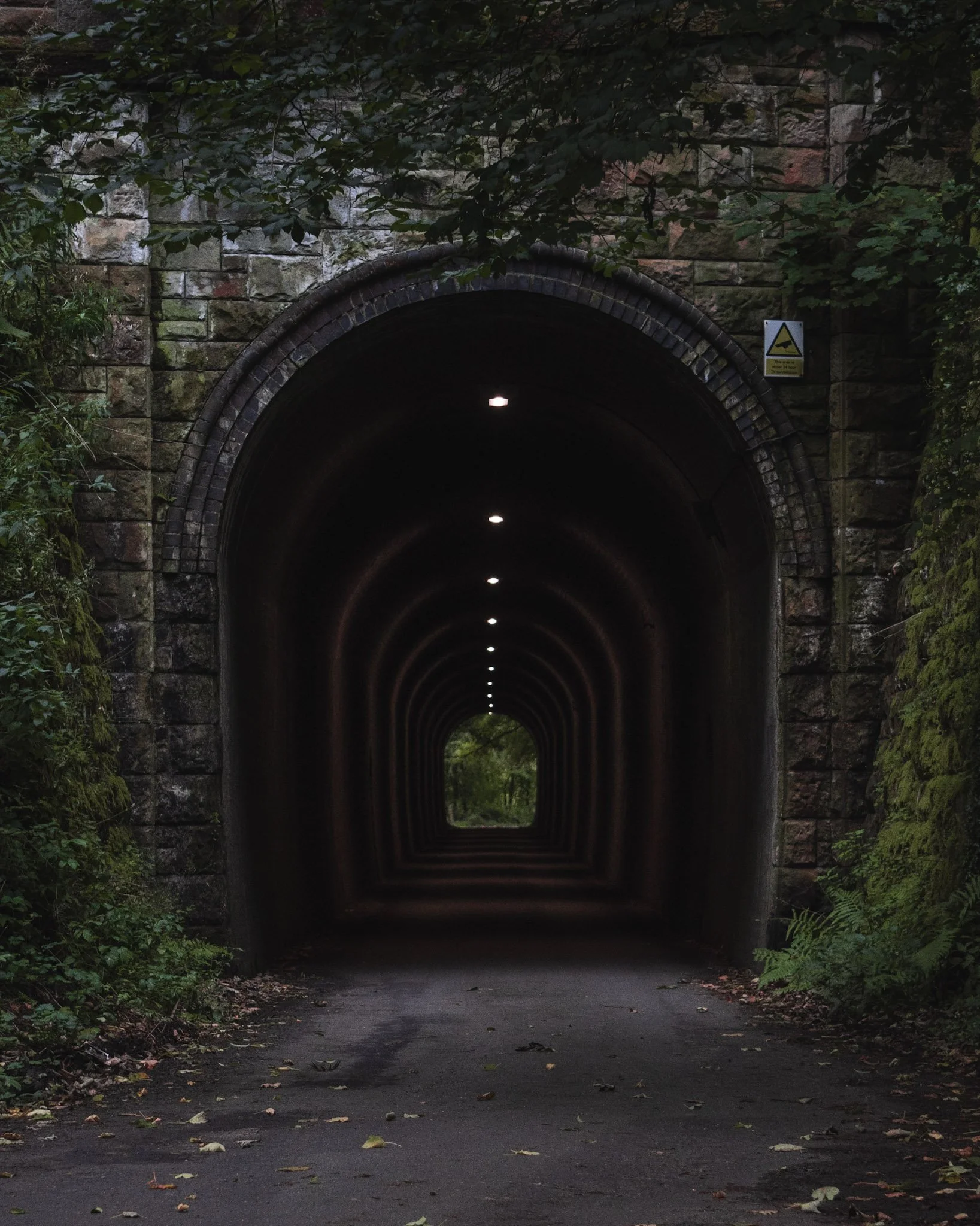 View of a dark tunnel with illuminated ceiling lights, surrounded by green foliage and moss-covered brick walls.