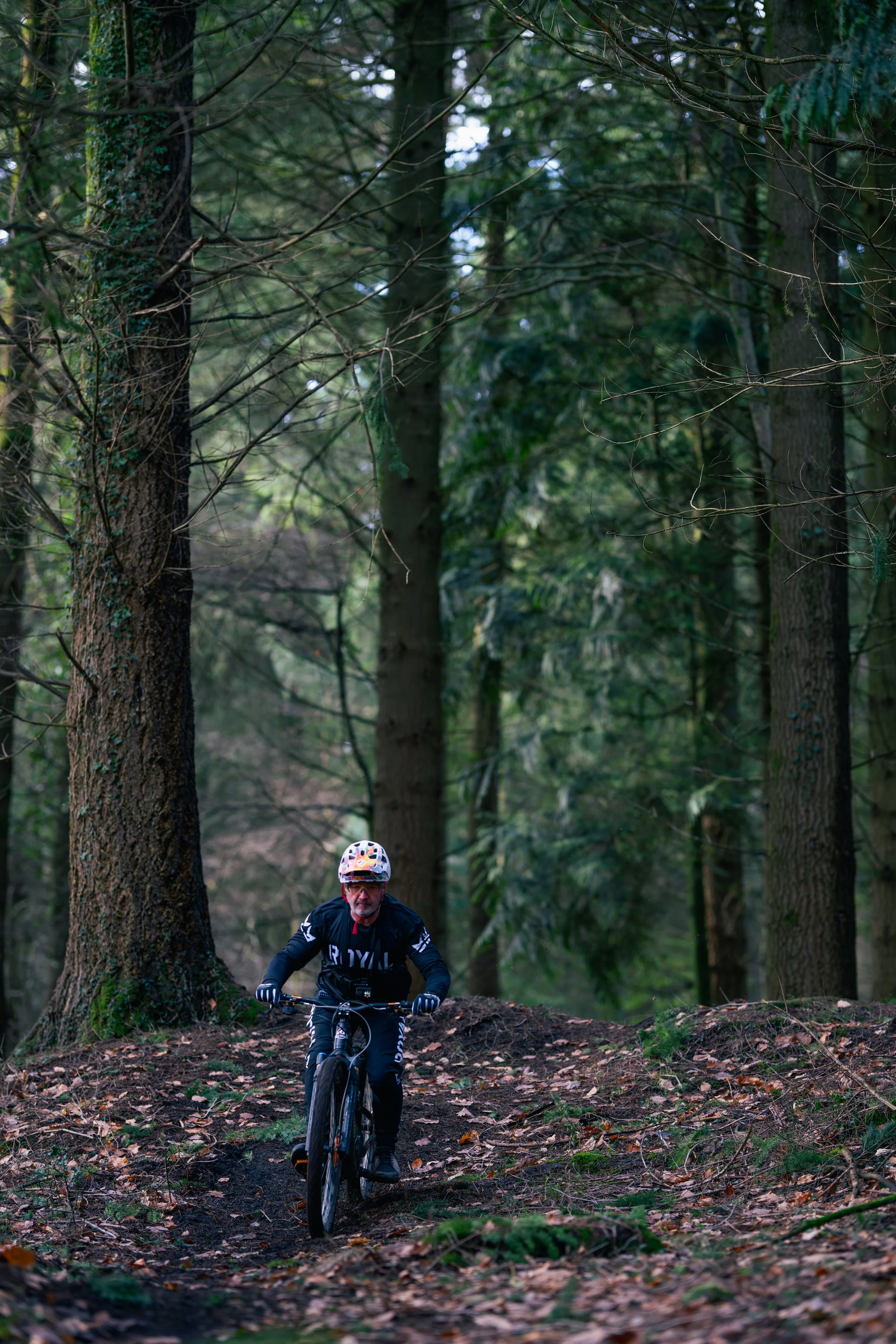 A man riding a mountain bike through a forest trail surrounded by tall trees and fallen leaves.