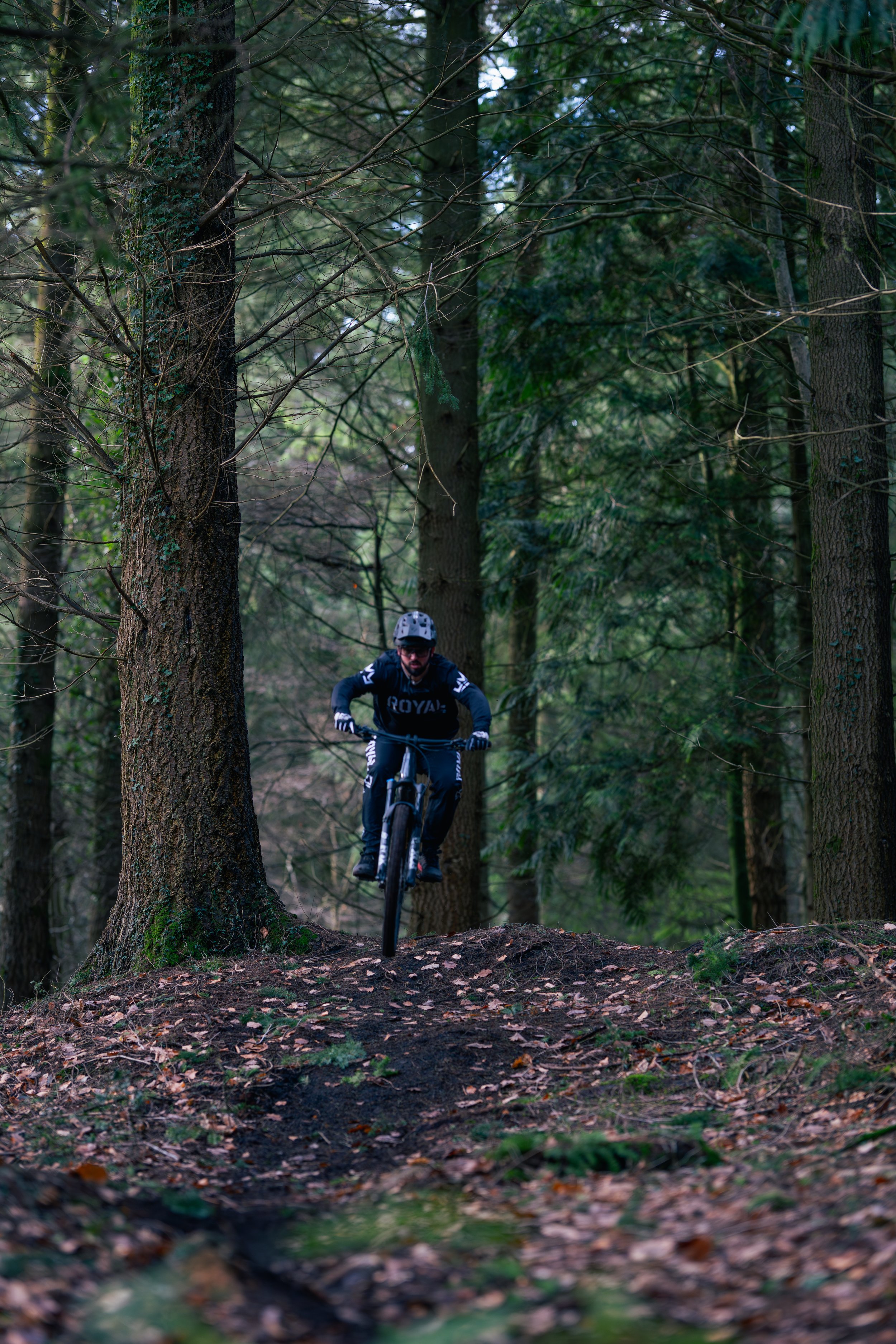 A person riding a mountain bike through a forest trail with tall trees and leafy ground.