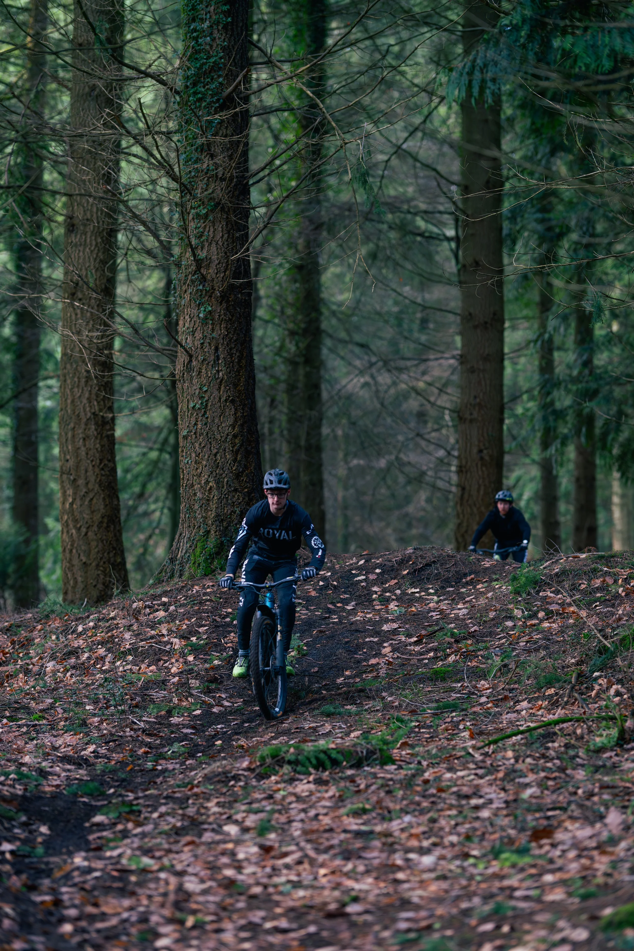 Two mountain bikers riding through a forest trail surrounded by tall trees and fallen leaves.