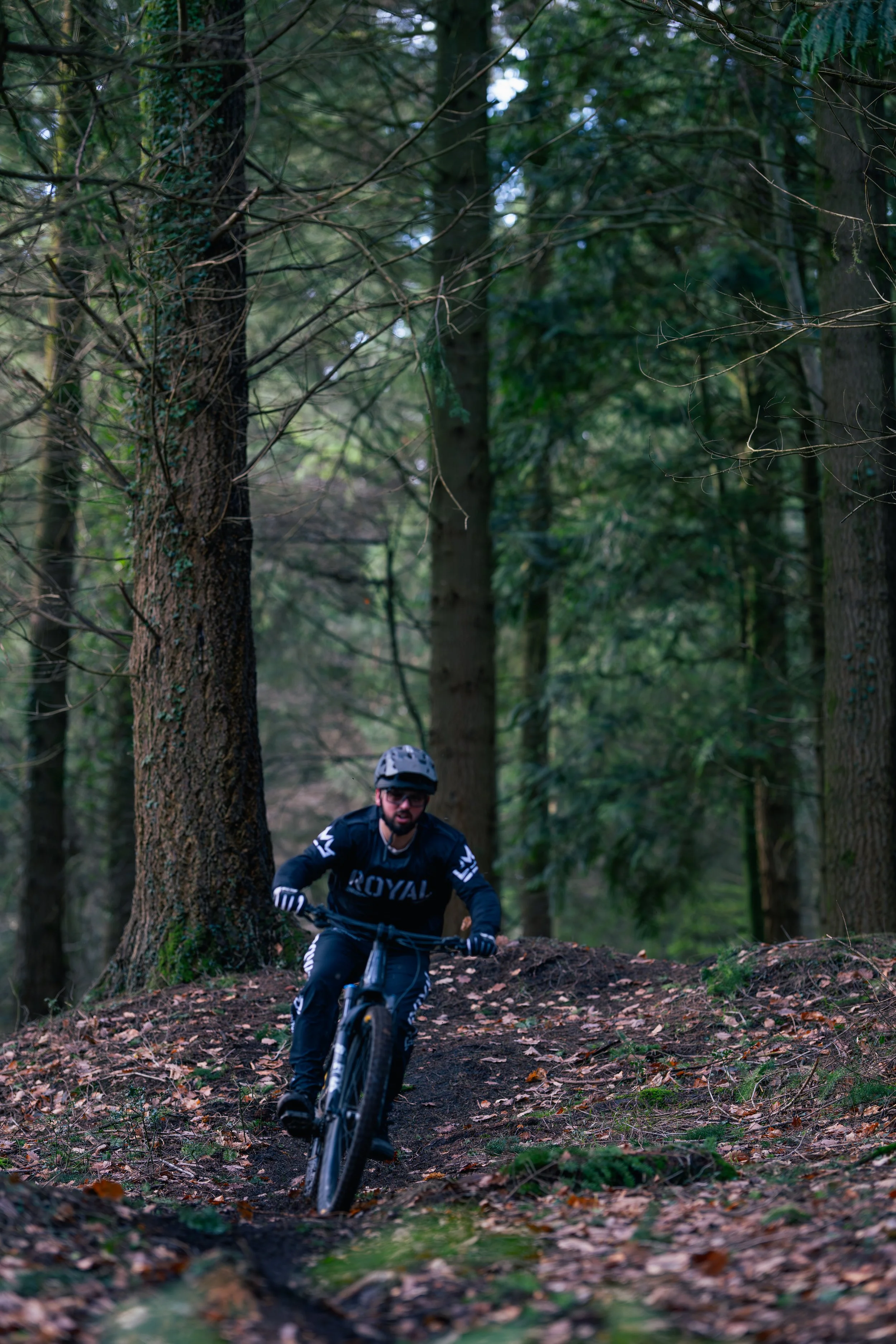A man mountain biking on a trail in a forest with tall trees and fallen leaves.