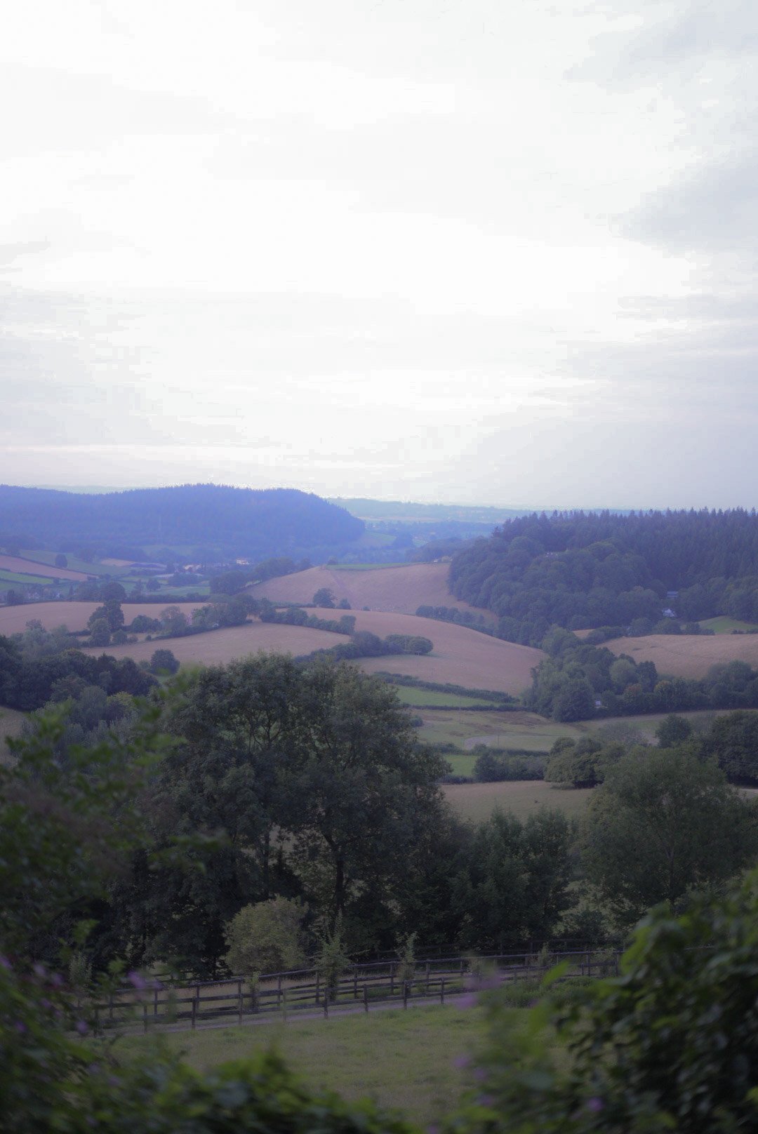 Scenic view of rolling hills, green trees, and a cloudy sky in the countryside.