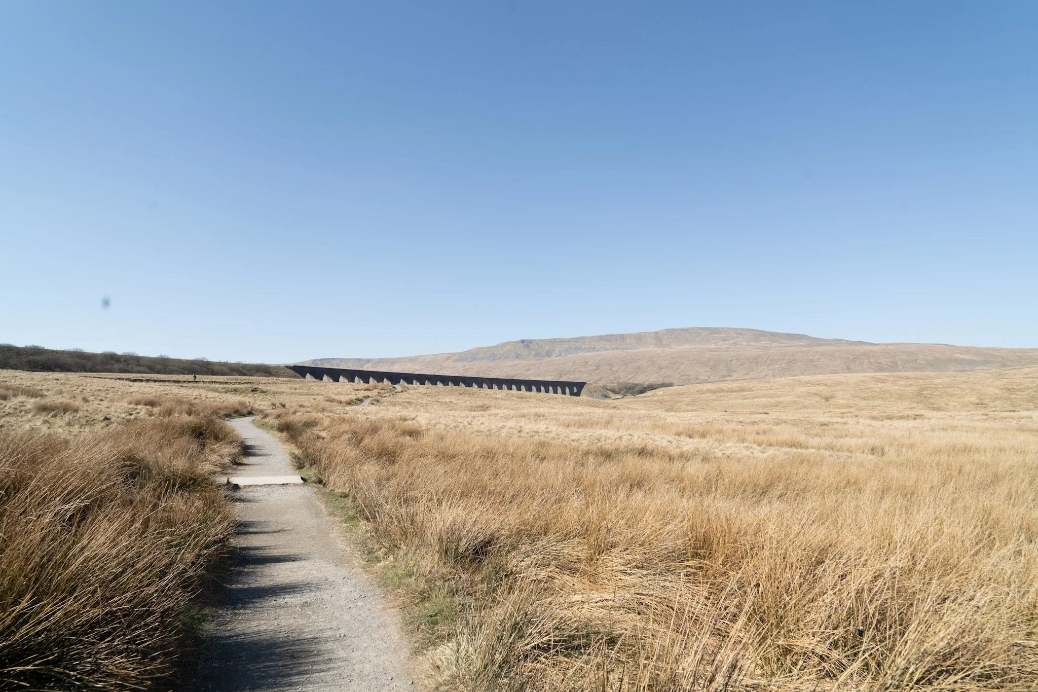 A dirt walking trail through golden grassy fields with a railway viaduct in the background under a clear blue sky.