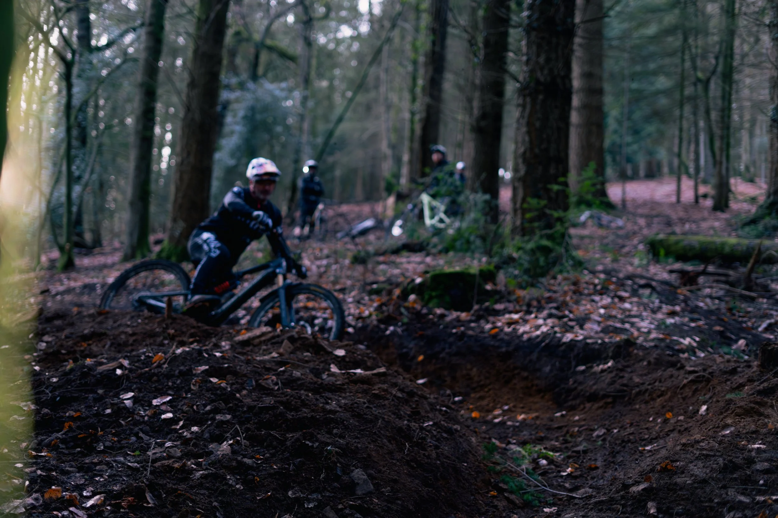Mountain bikers riding through a forest trail with tall trees and fallen leaves.