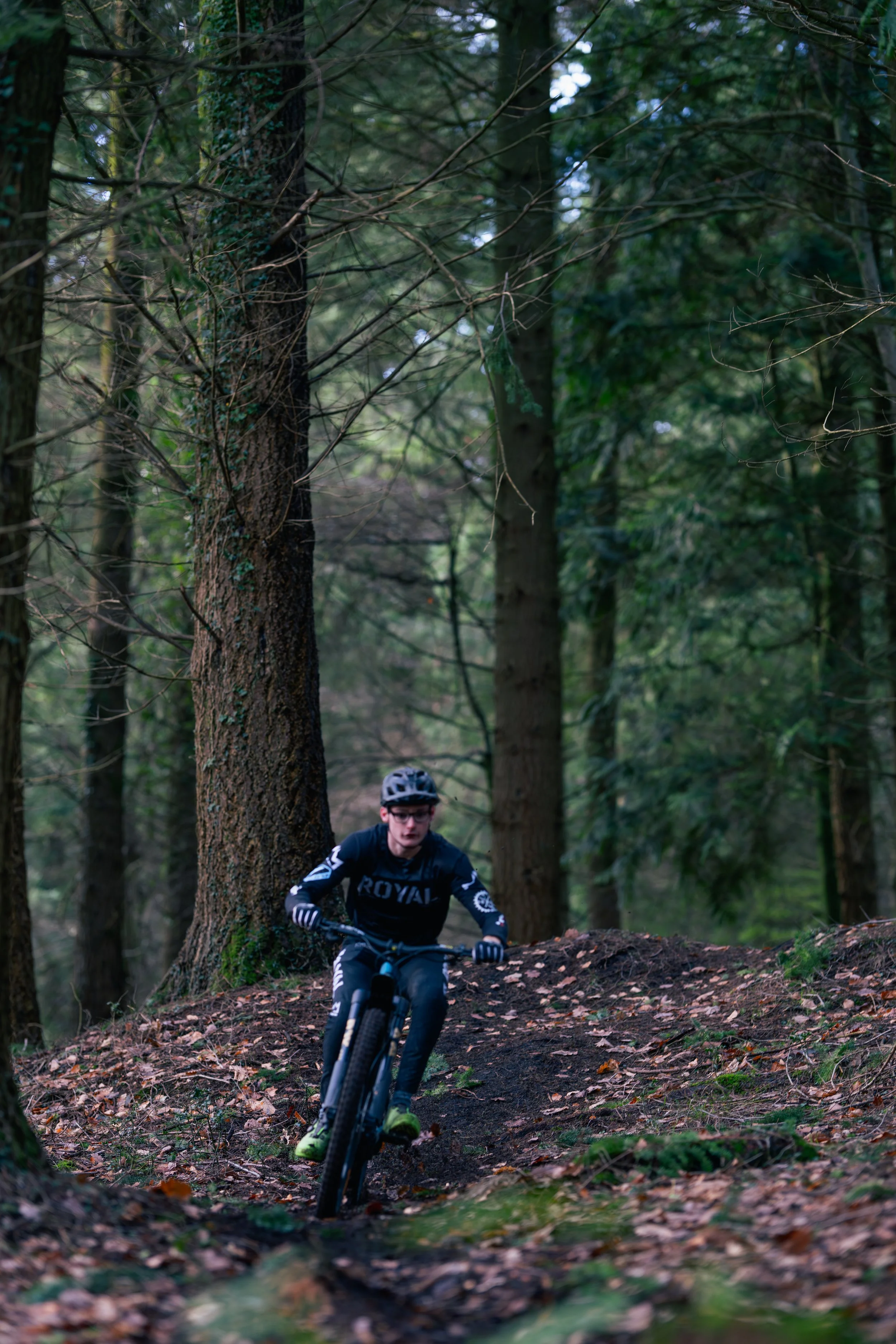 A person mountain biking on a trail in a dense forest, surrounded by tall trees and fallen leaves.