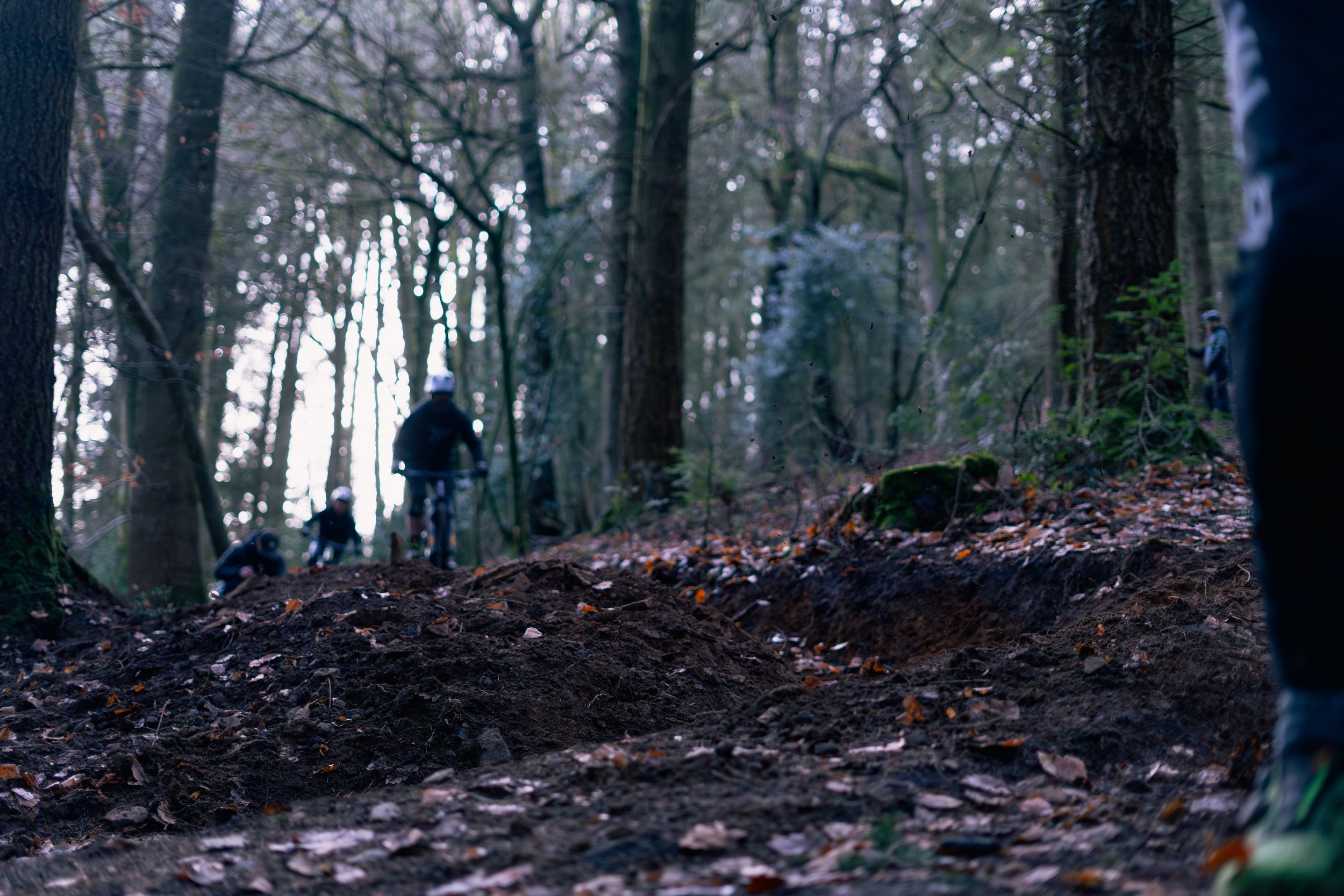 Group of mountain bikers riding through a wooded forest trail with dirt and fallen leaves.