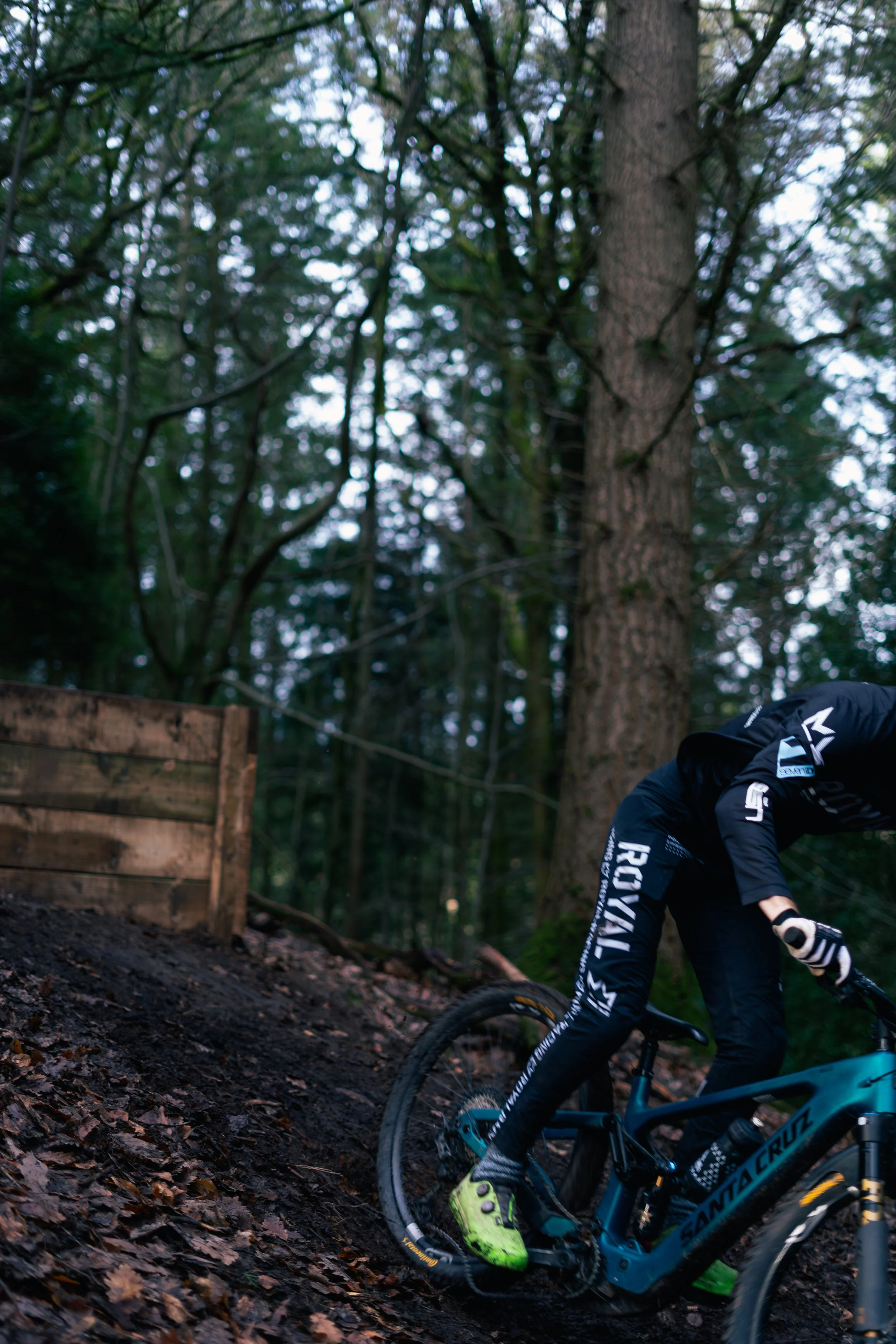 A person mountain biking downhill on a dirt trail in a wooded area with tall trees and dense foliage.
