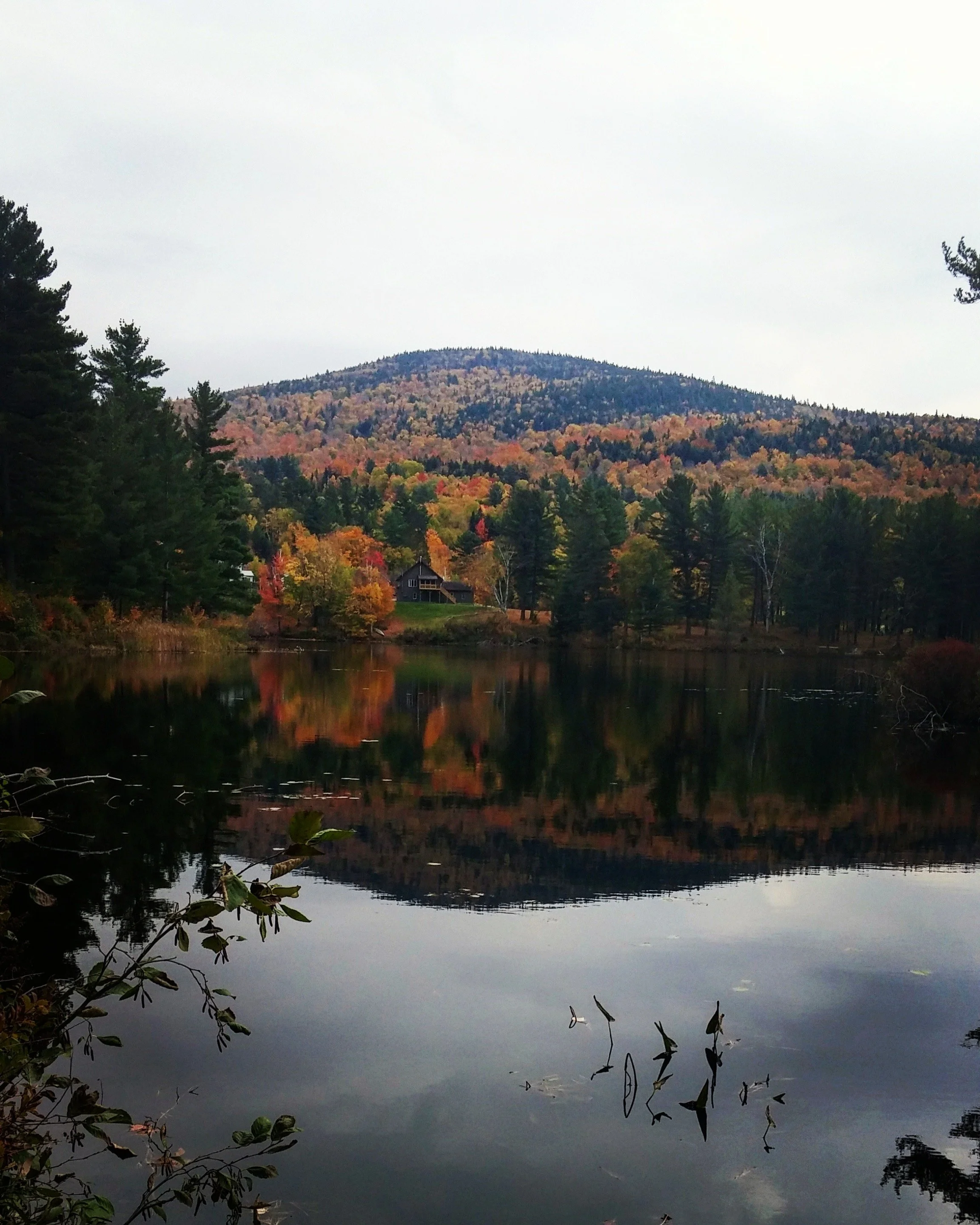 fall in LL water.JPG