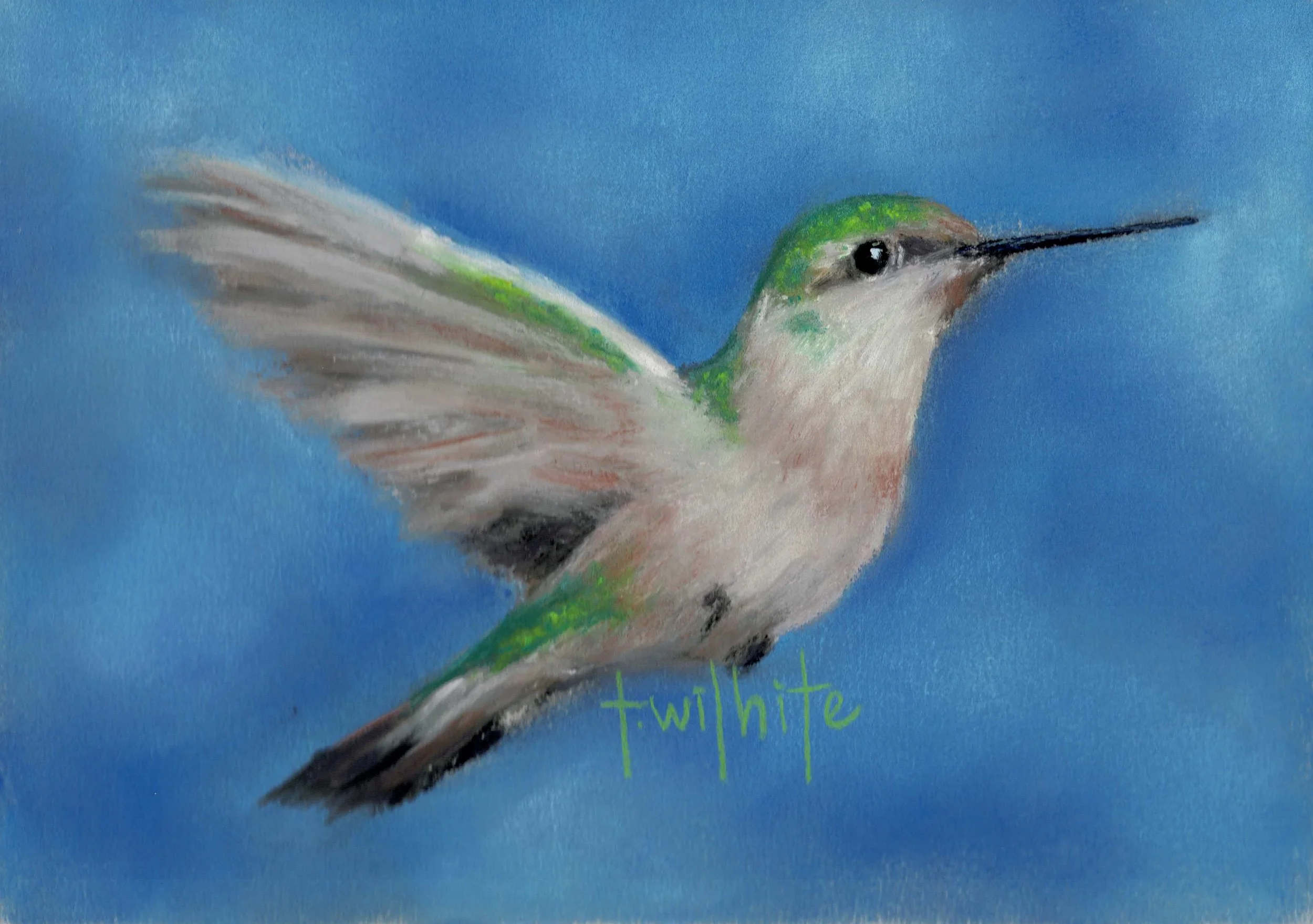 Flutter Hummingbird, 5x7 | Original Pastel