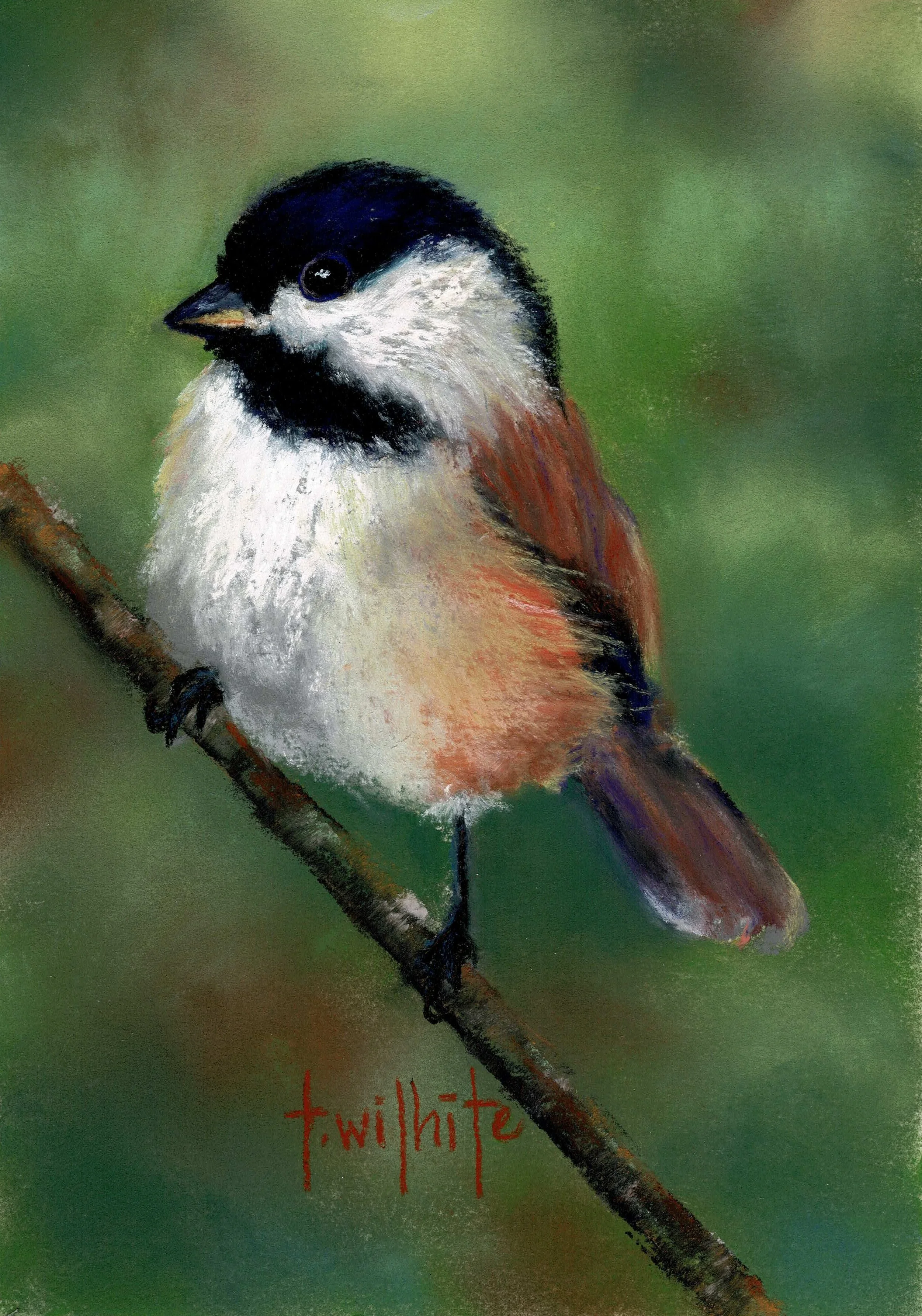 Painted image of a small bird, possibly a chickadee, perched on a branch with green blurred background, signature 't.wilhide' at bottom.