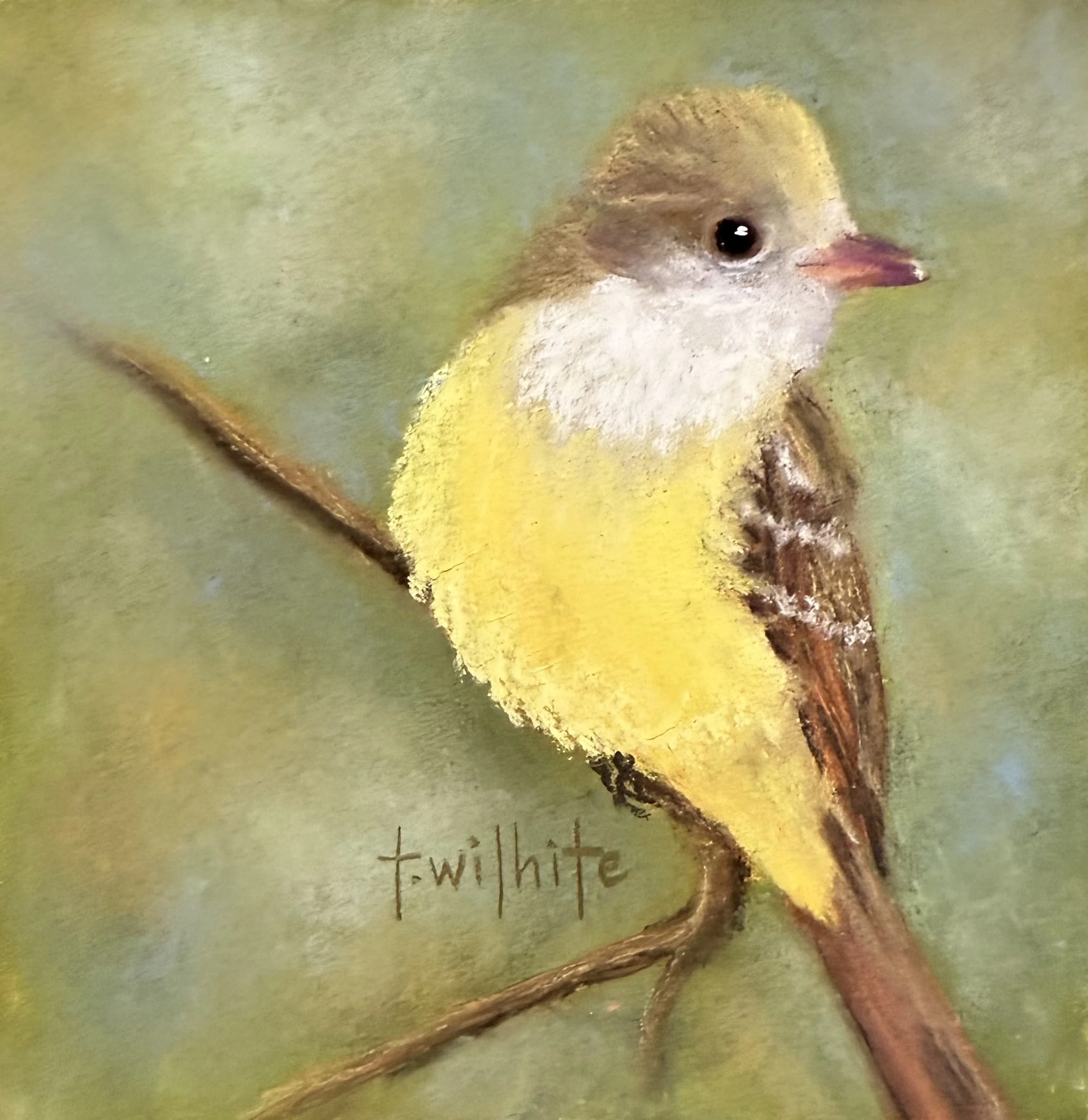Great Crested Flycatcher.jpg