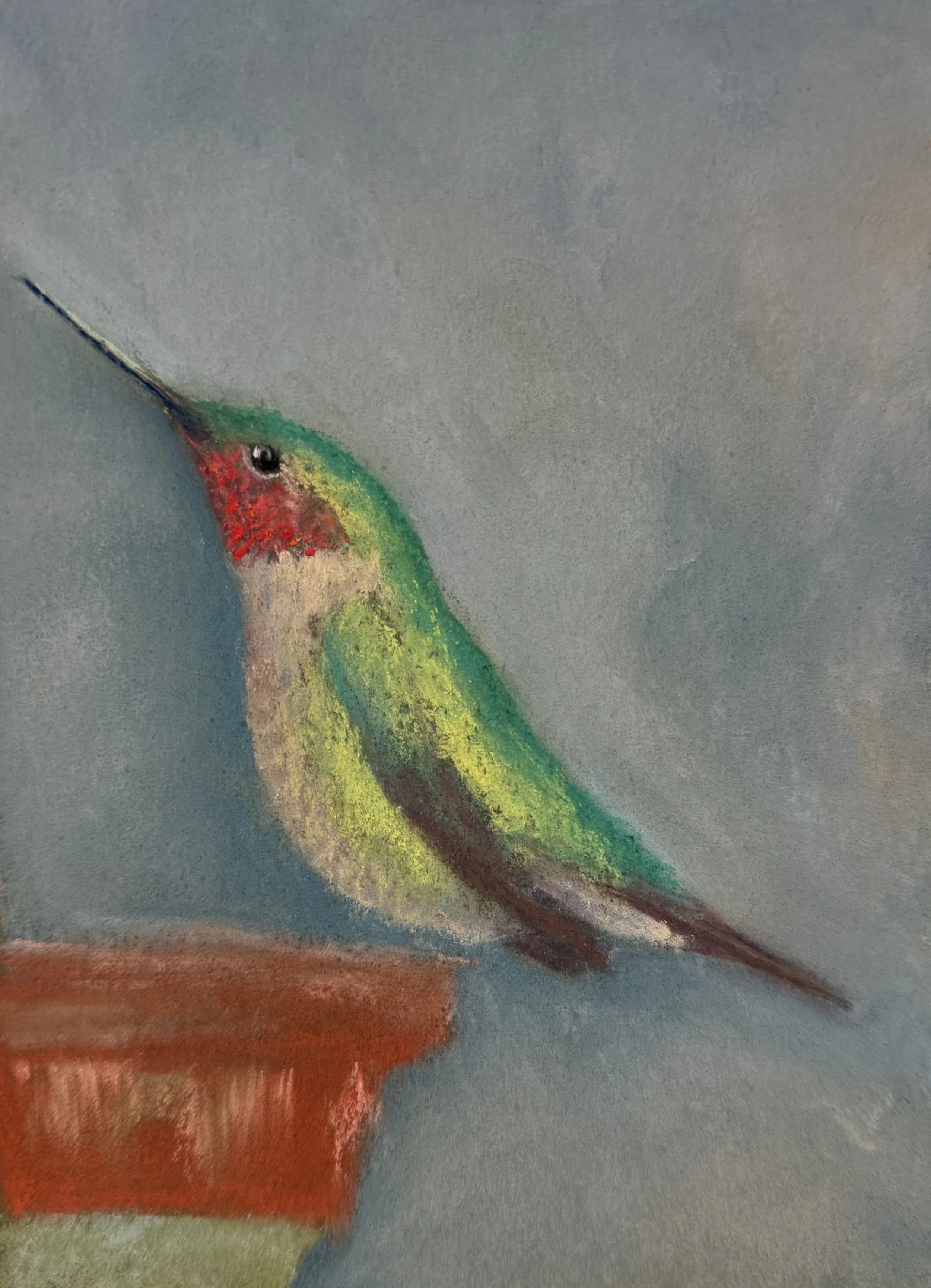 Sweet Nectar Hummingbird, 5x7 | Original Pastel