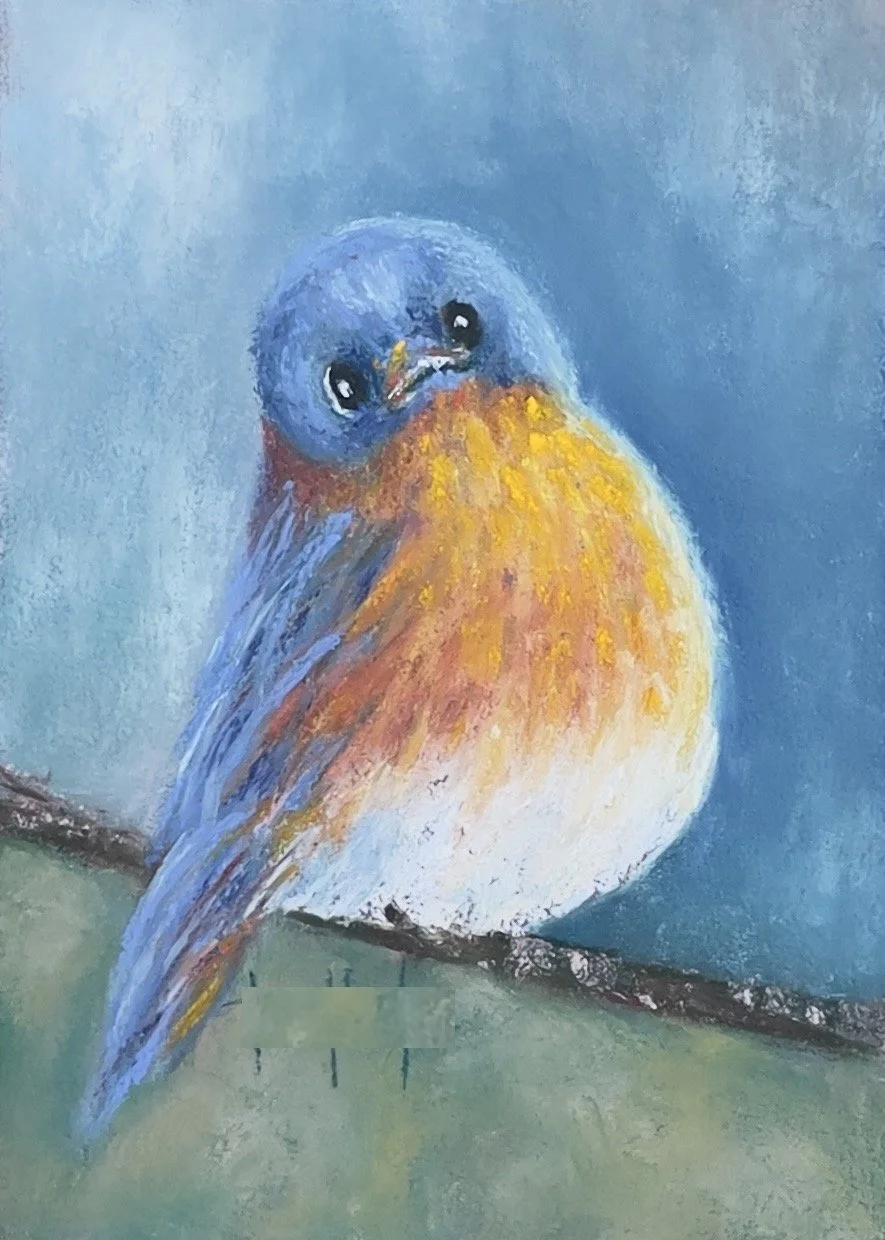 Cutie Bluebird.jpg