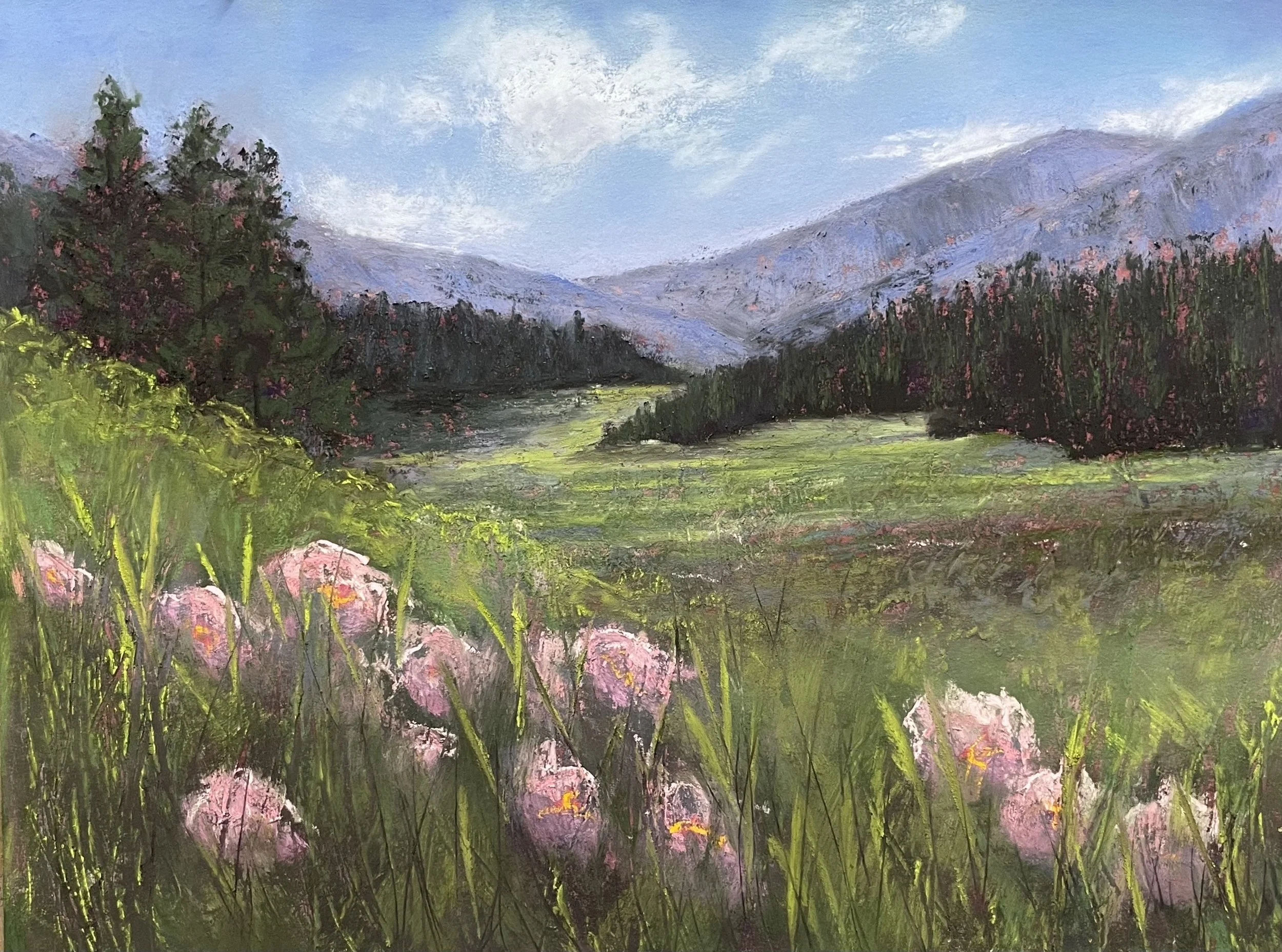 Spring Mountain Hike.jpg