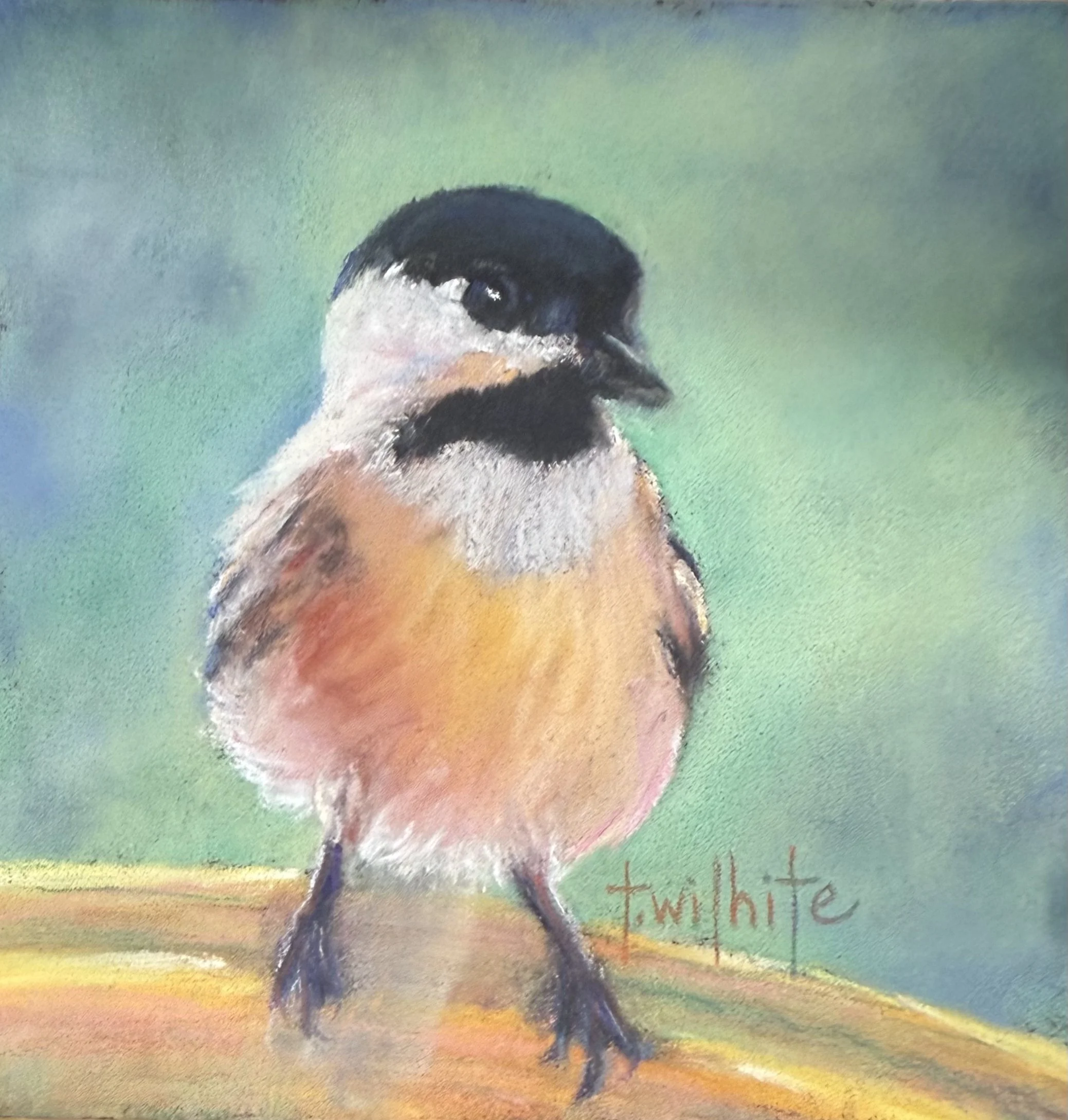 Joy, 5x5 Chickadee | Original Pastel