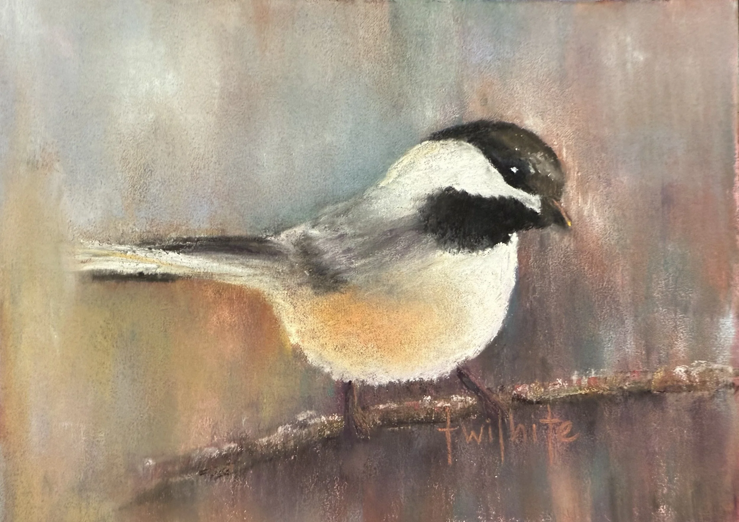 Chickadee, 5x7 | Original Pastel
