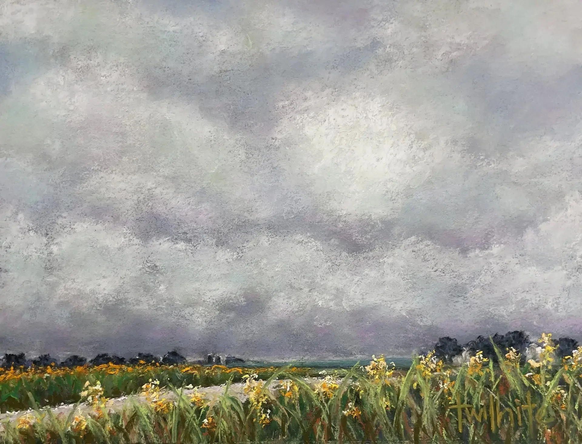 Yellow Pause, 12x9 | Original Pastel