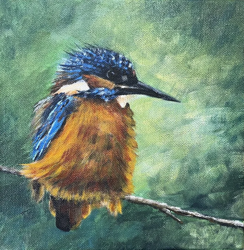 Kingfisher.jpg