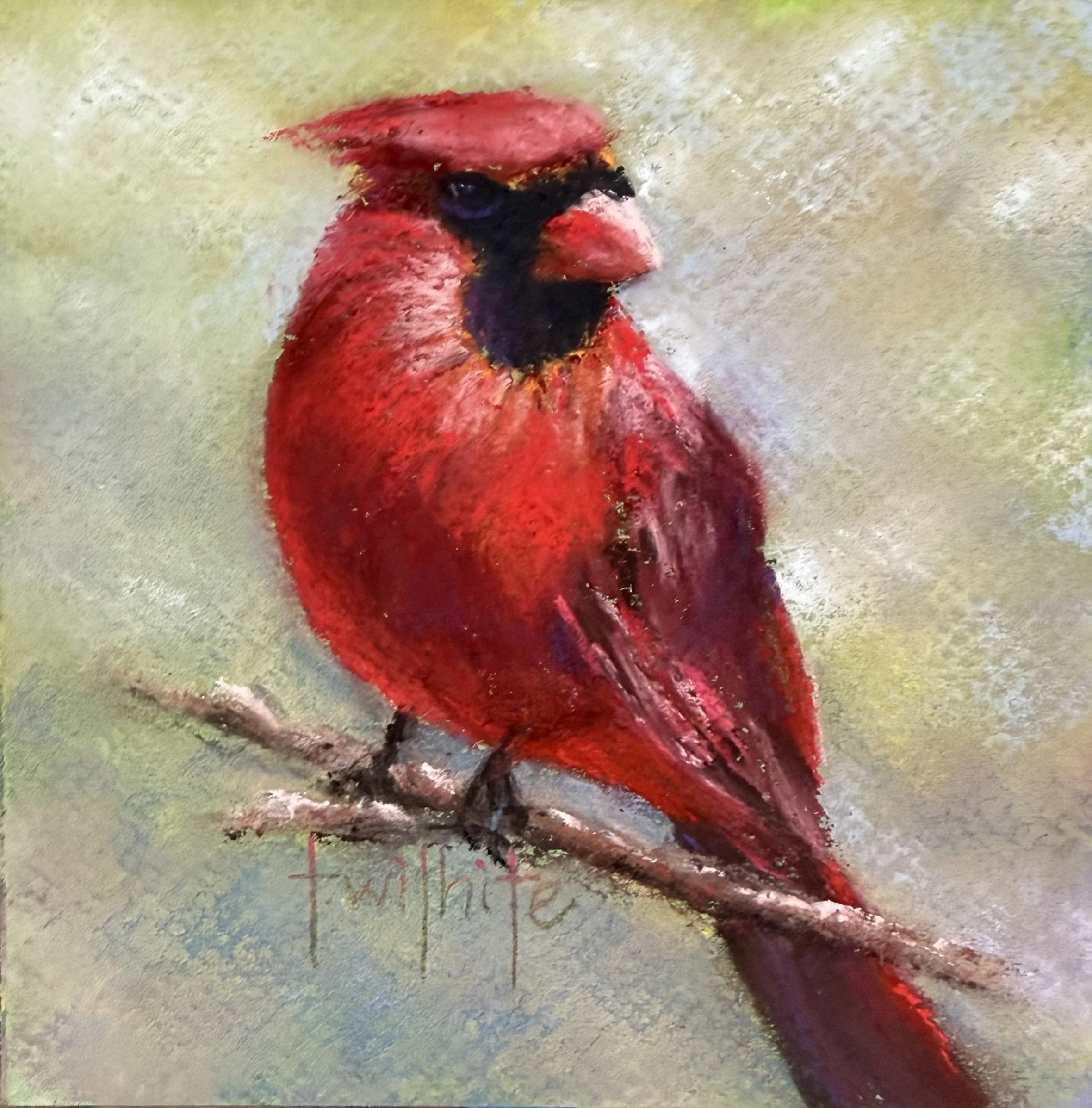 In Your Heart, 5x5 Cardinal | Original Pastel