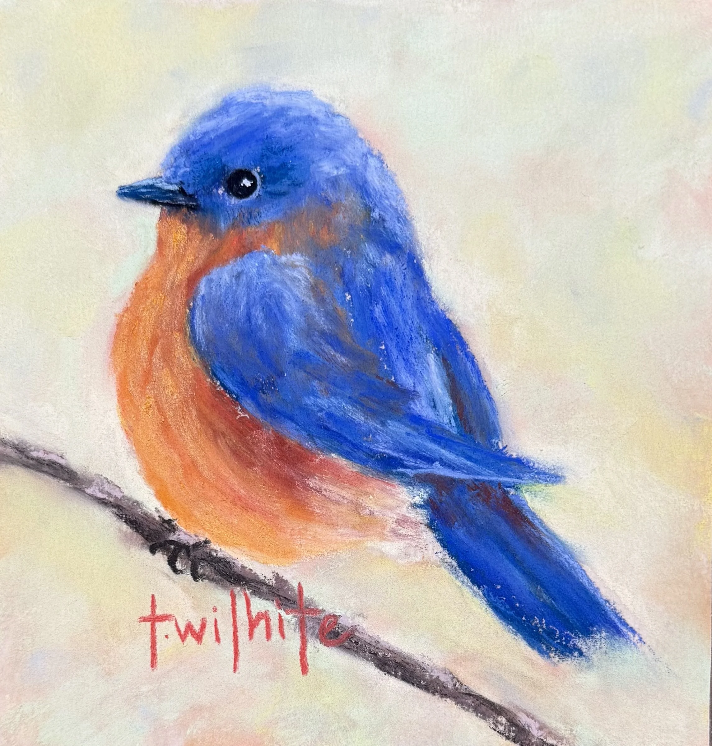 Bluebird - Hope.jpg