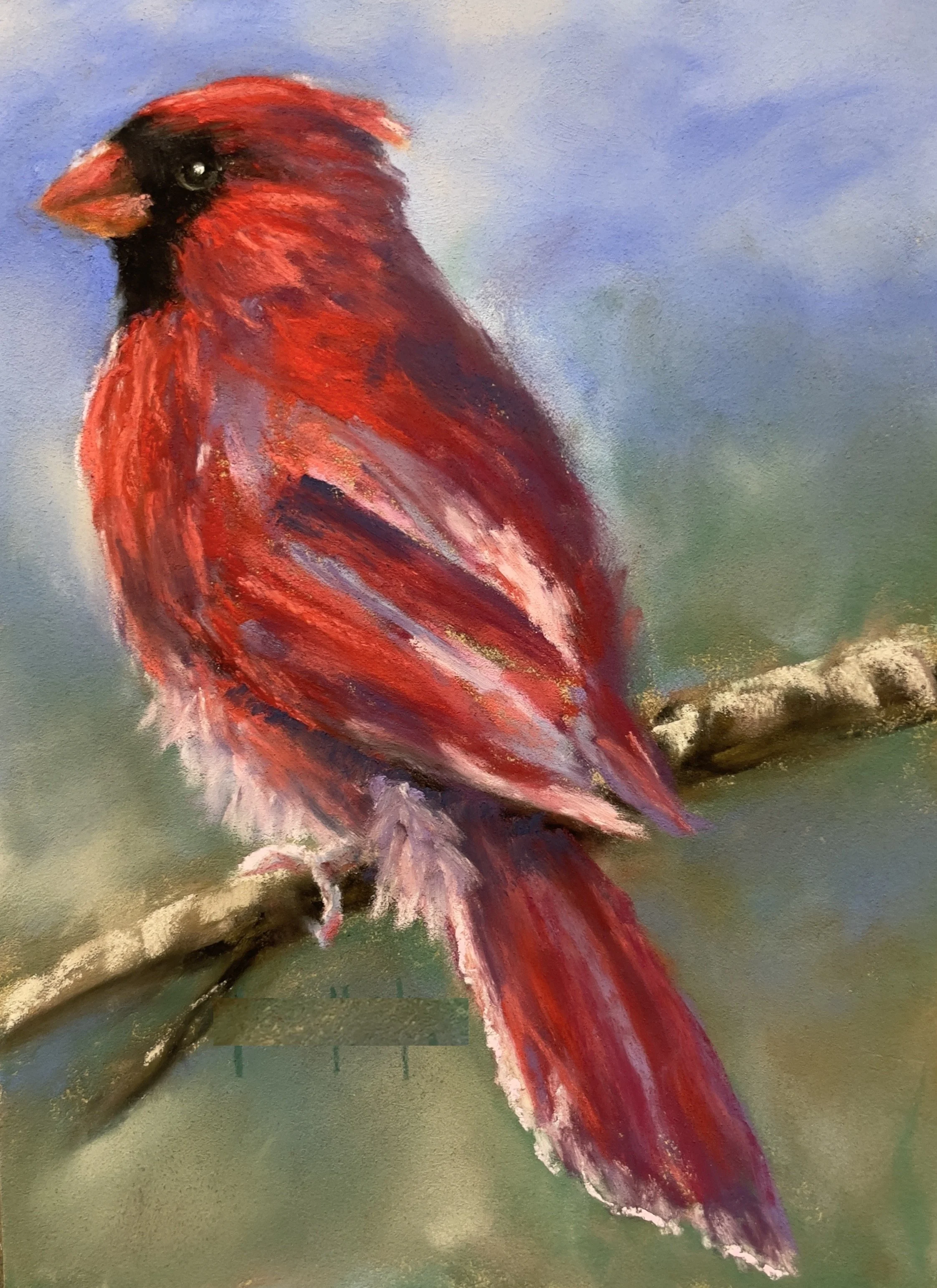 Watchful Cardinal.jpeg