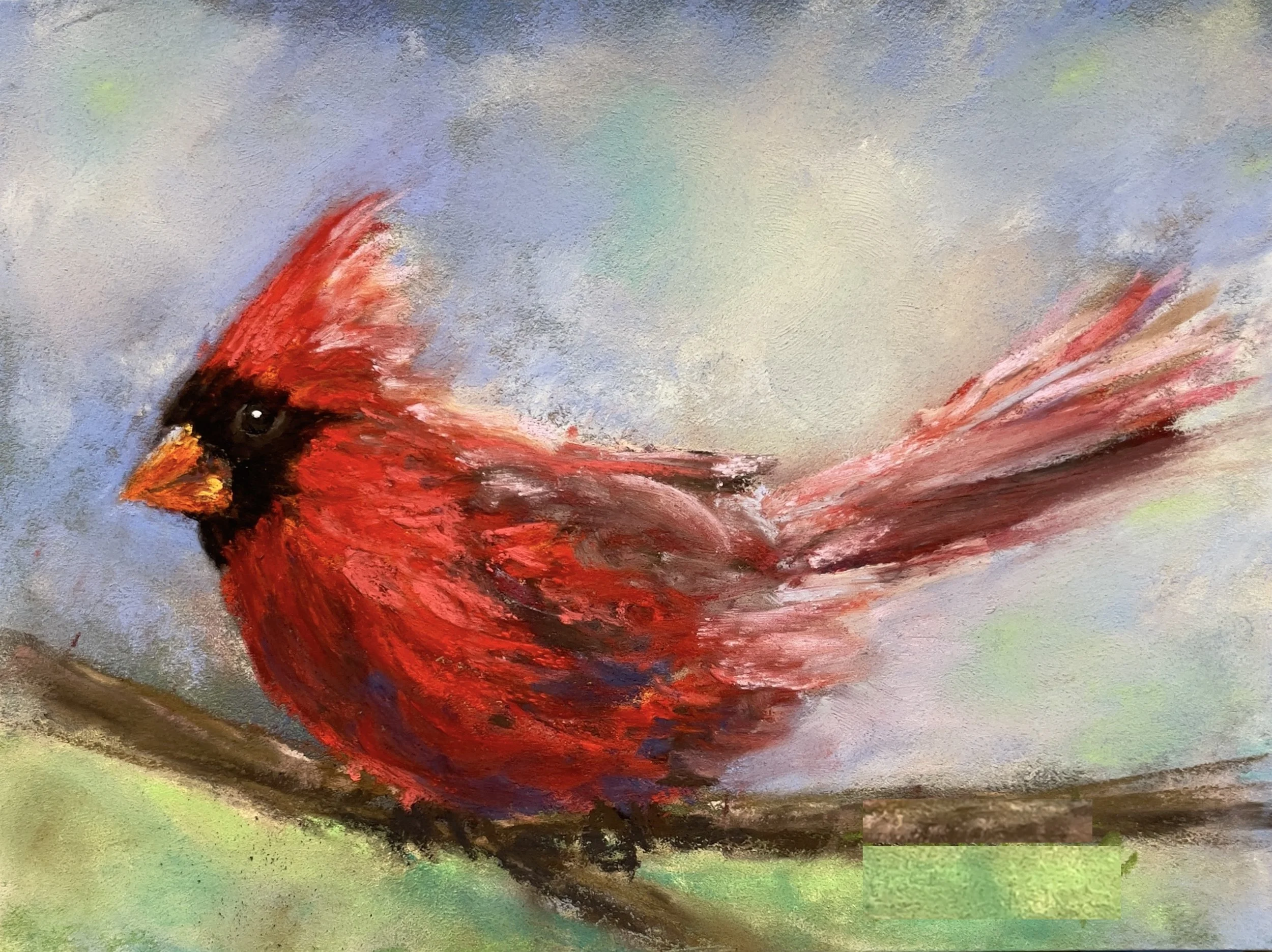 Cardinal.jpg