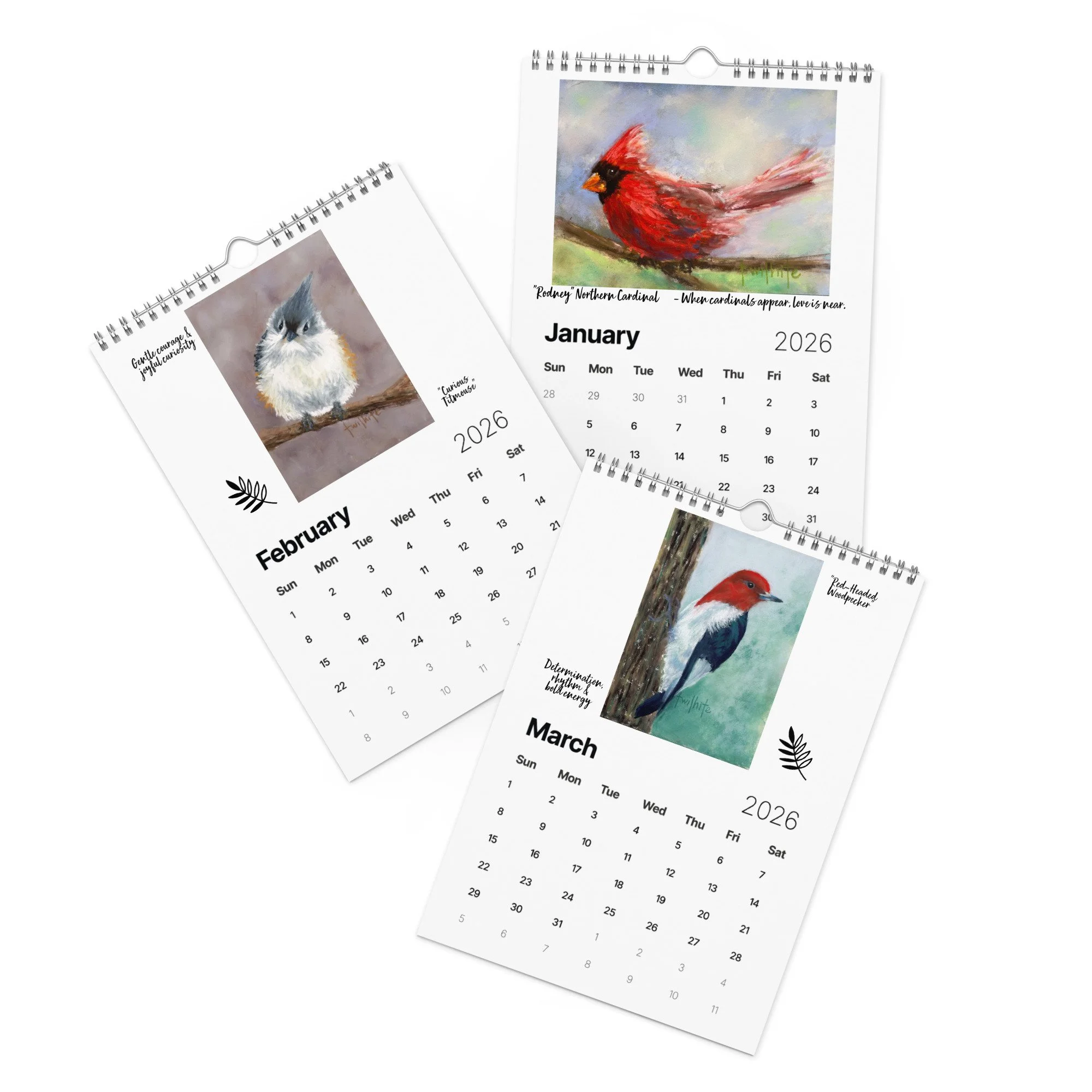 wall-calendar-(2026)-start-w-sun-8.26x11.69-front-68e2a23702a1d.jpg
