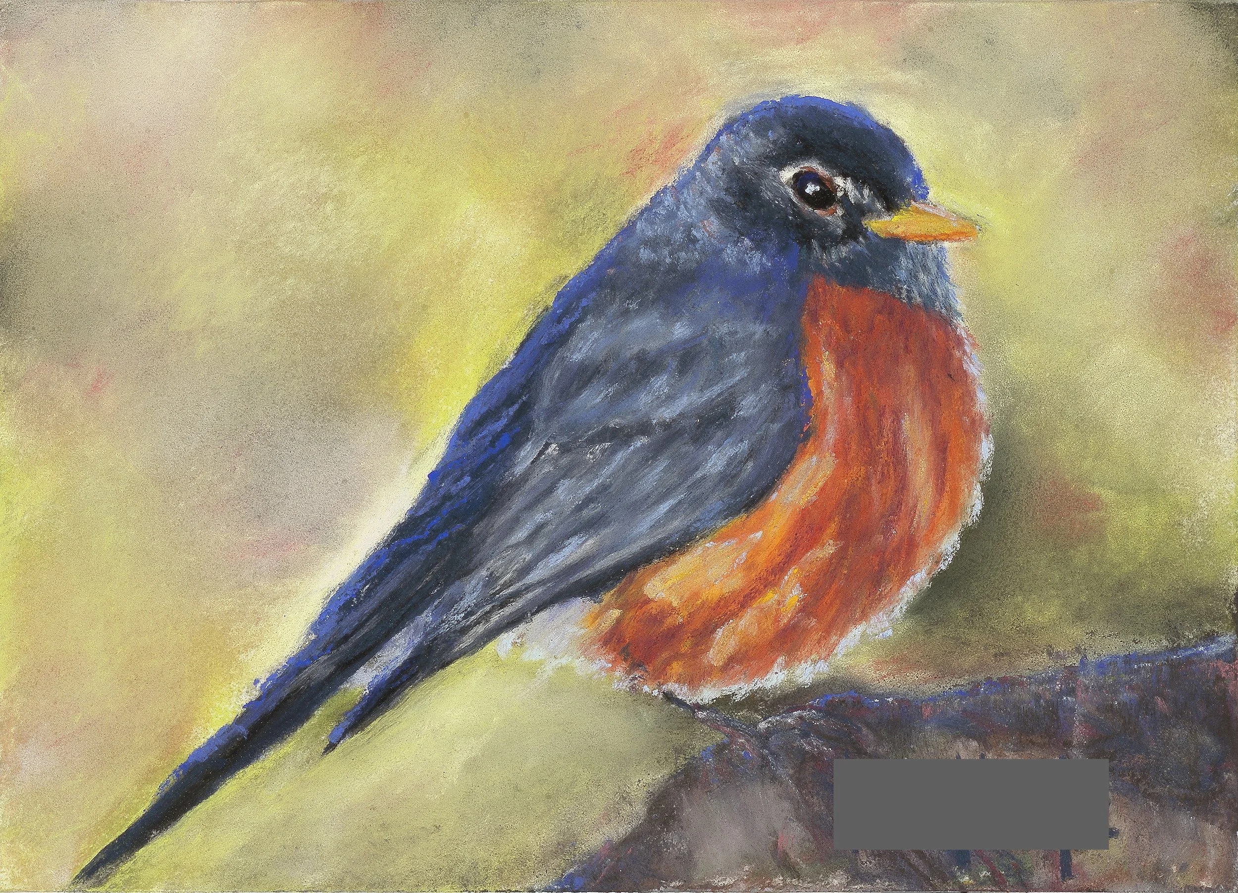 Spring Robin 5x7.jpg