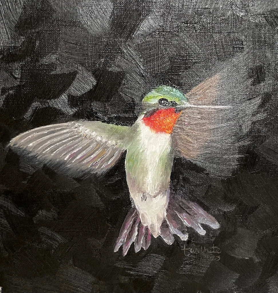 Hummingbird 2.jpg