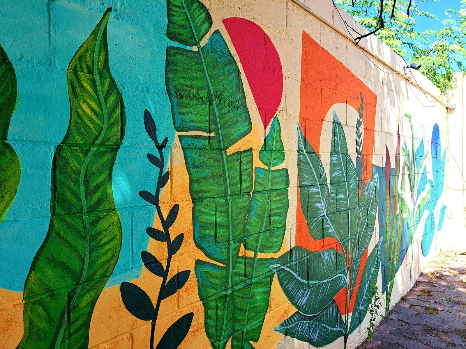 WhatsApp Image 2025-09-11 at 11.56.45 AM (3).jpeg