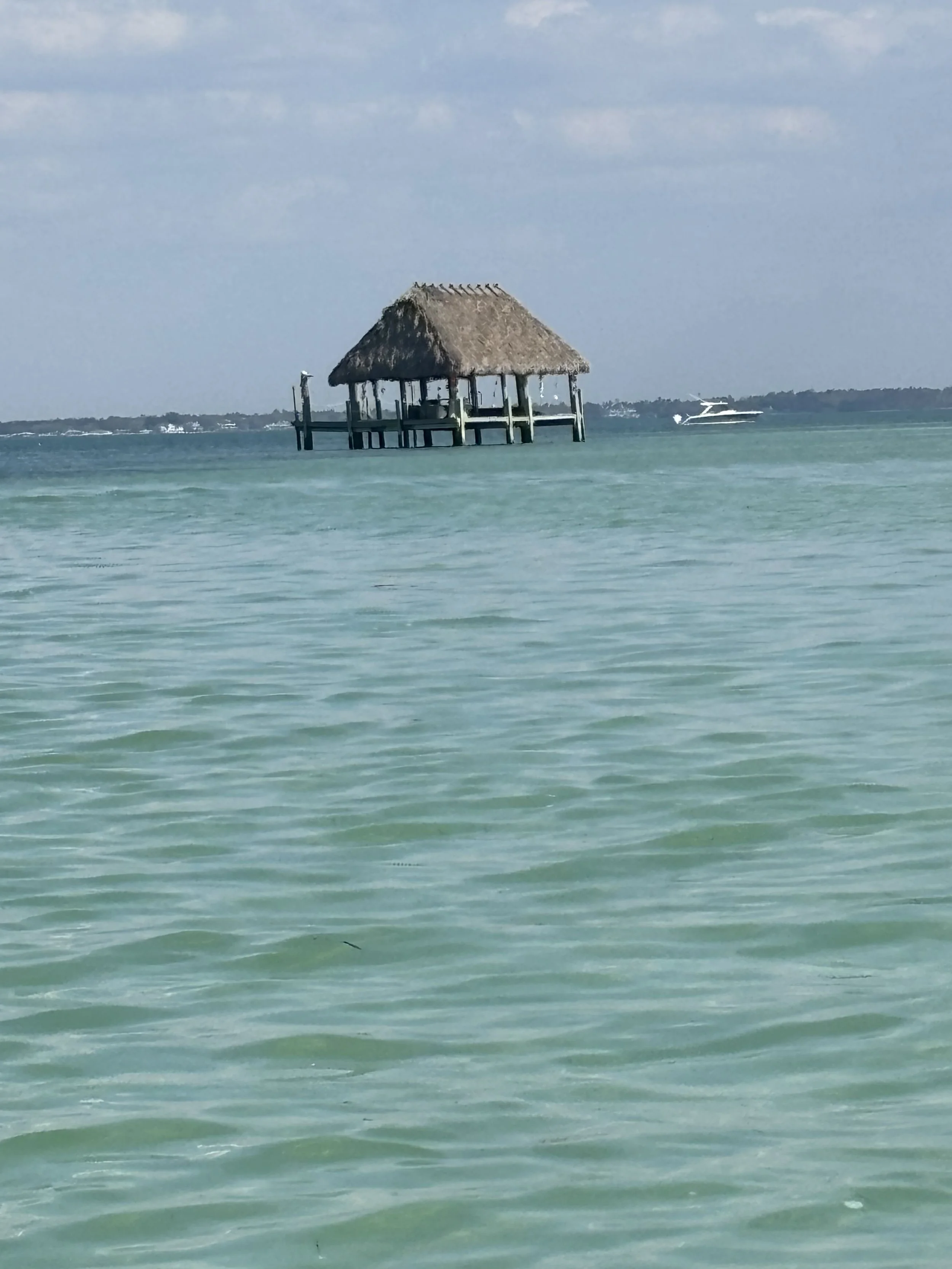 Overwater hut with a thatched roof on stilts in calm turquoise water, with a boat in the distance under a partly cloudy sky.