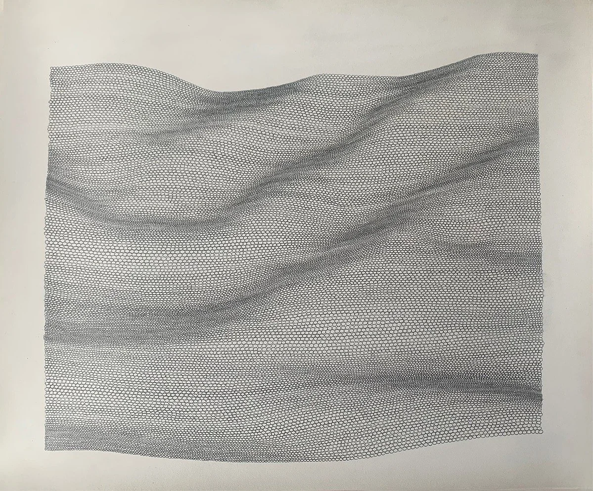 A detailed line art illustration of a wavy, undulating landscape composed of numerous small, interconnected hexagons forming a mesh pattern, creating a sense of depth and movement.